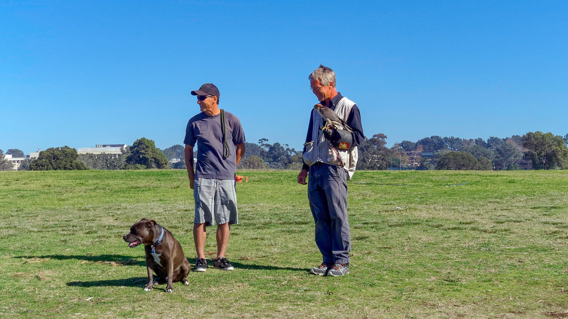 Falconer and dog owner at Torrey Pines Glider Port