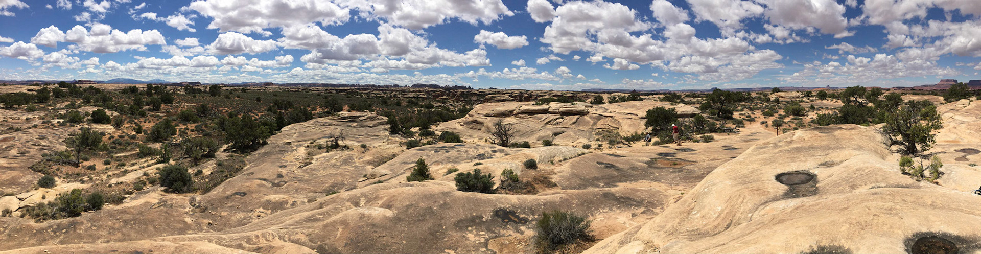 View northwest from the Slickrock Foot Trail towards Island in the Sky. Junction Butte and Grand View Point are on the far right horizon.