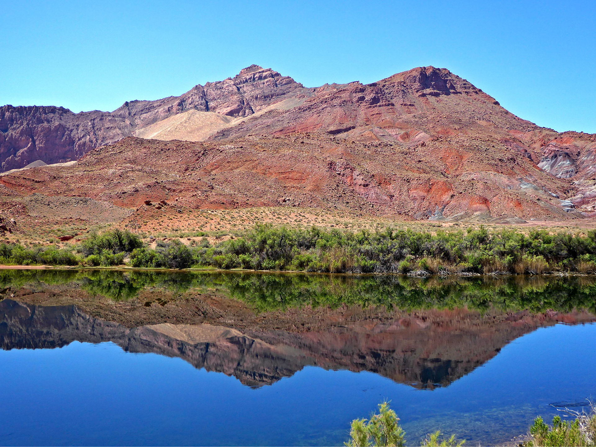 Calm reflections on the Colorado River at Lees Ferry, Arizona.