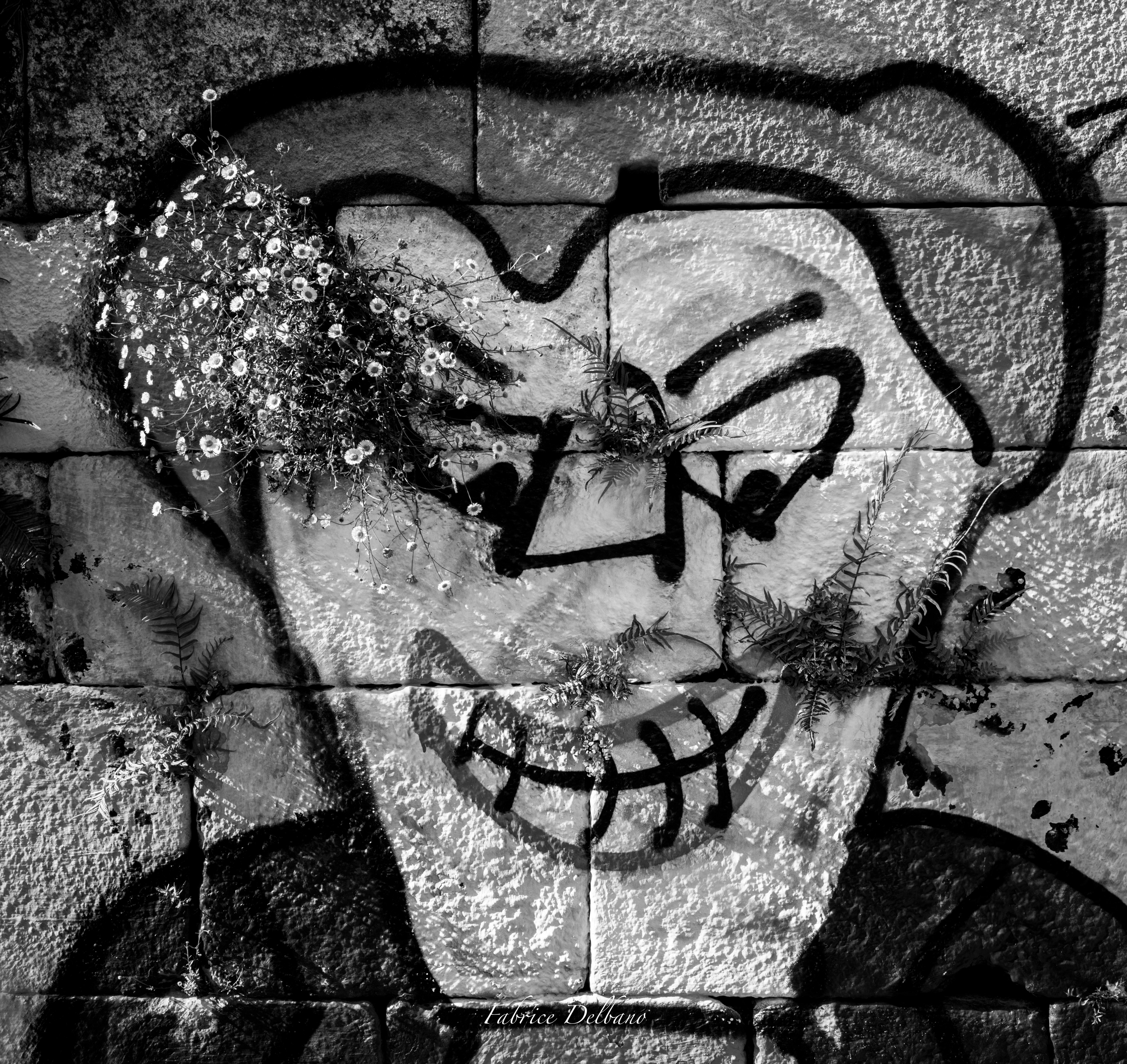 Noir-et-blanc, graffiti tête d'homme, mur rue de Porto, fleurs sauvages
