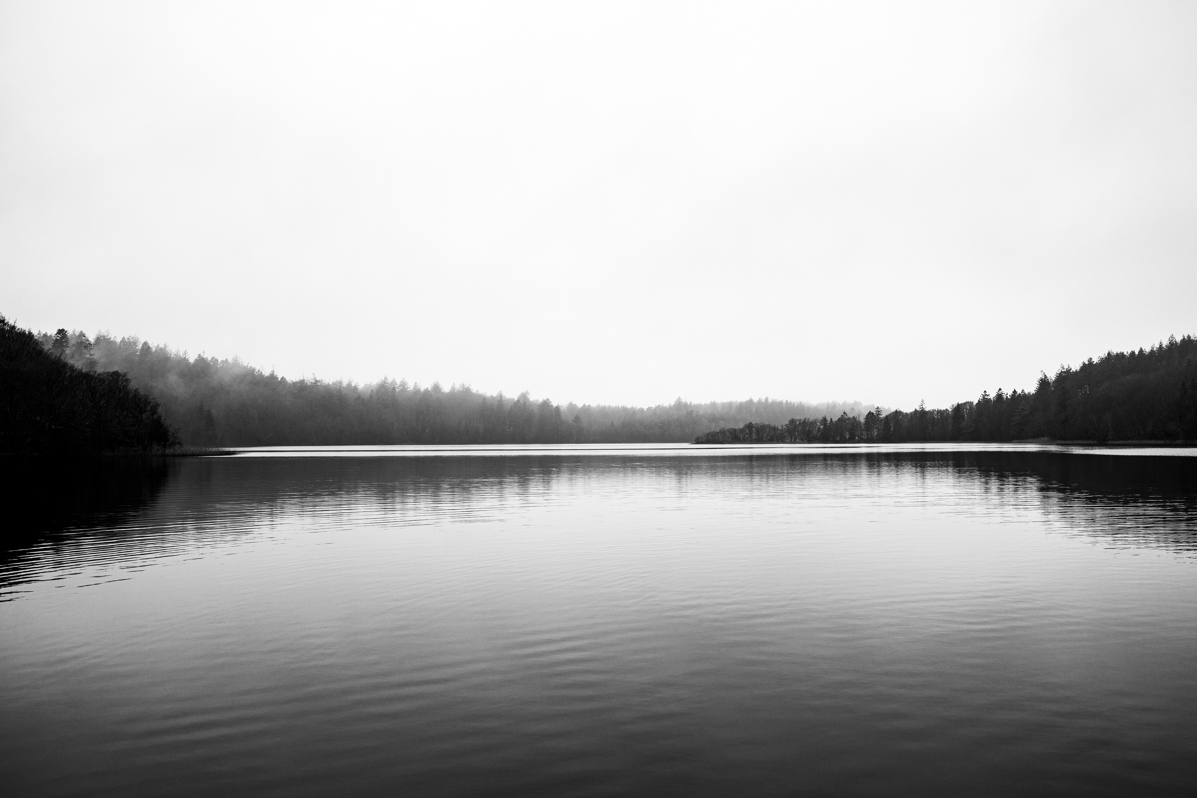 Landschap