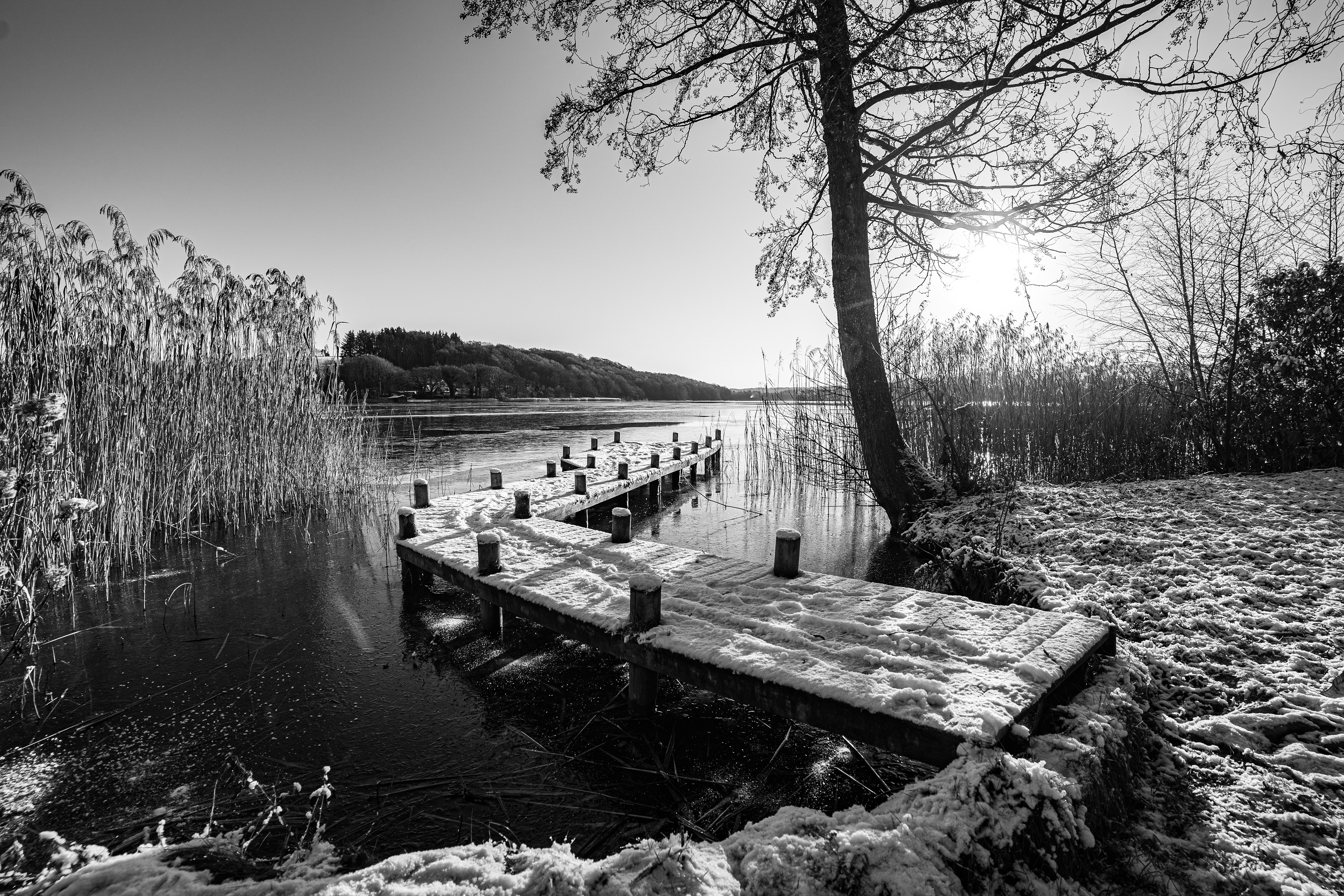 Natuur