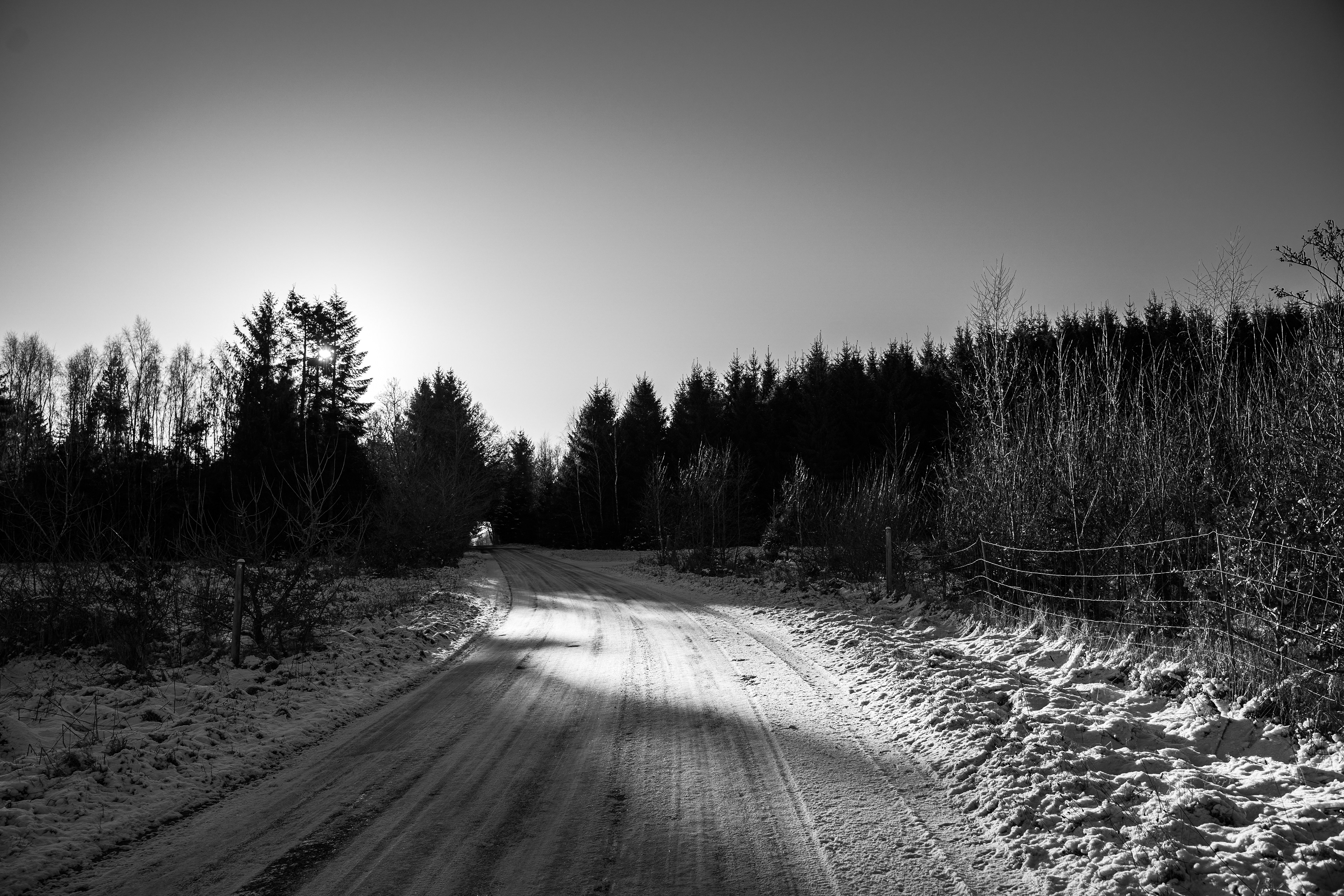 Natuur