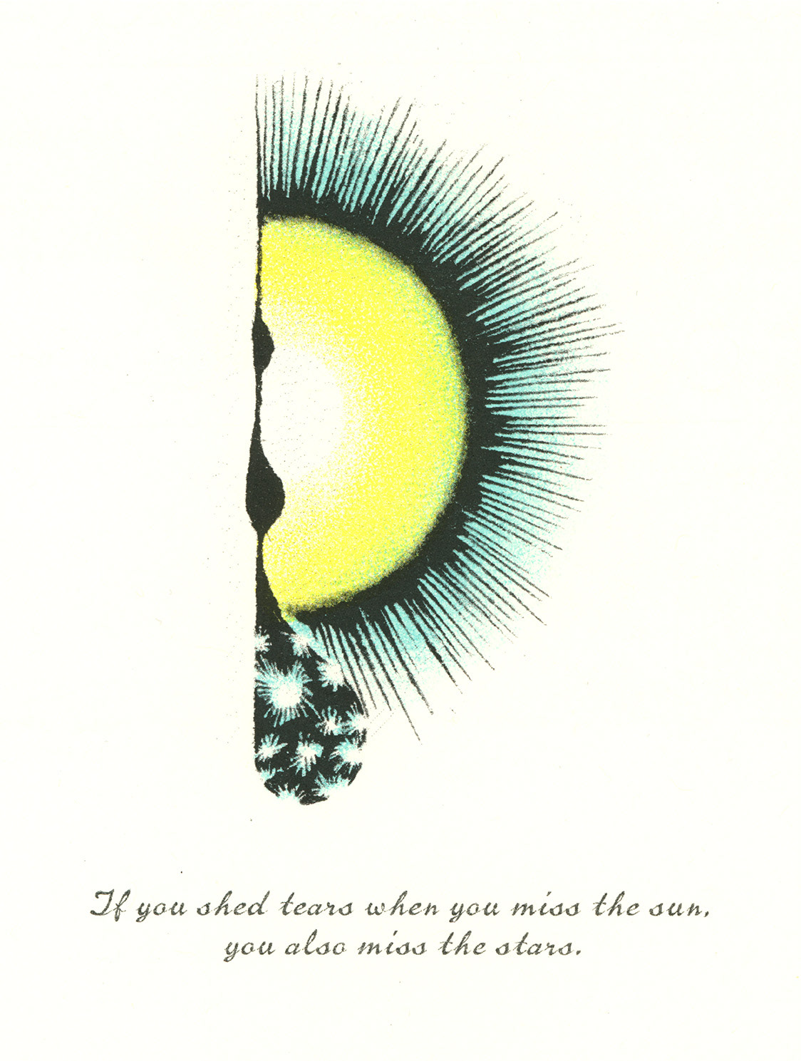 Illustration for Stray Birds, Risograph, tabloid-size single page zine, 2021.