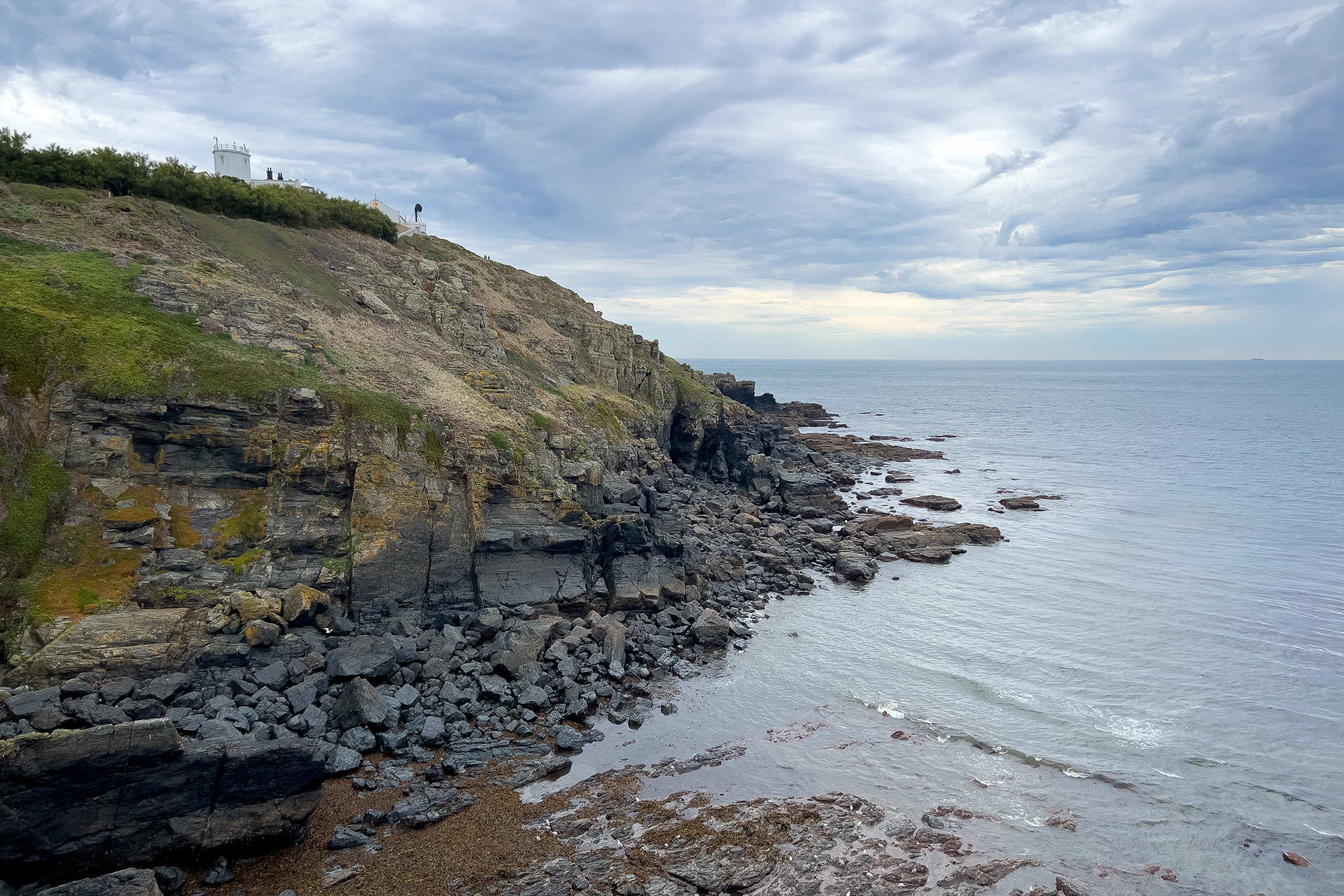 Lizard Point