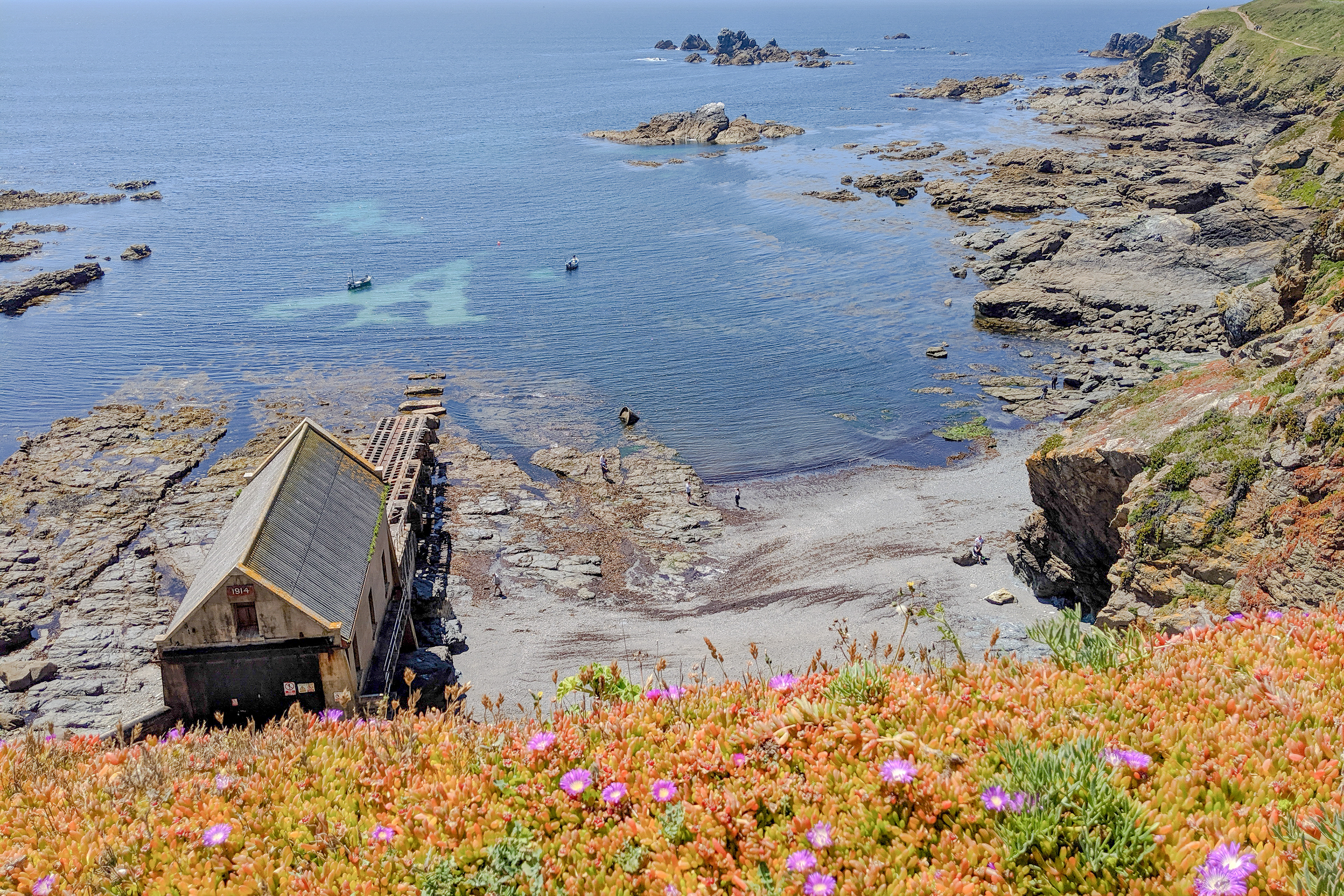 Lizard Point