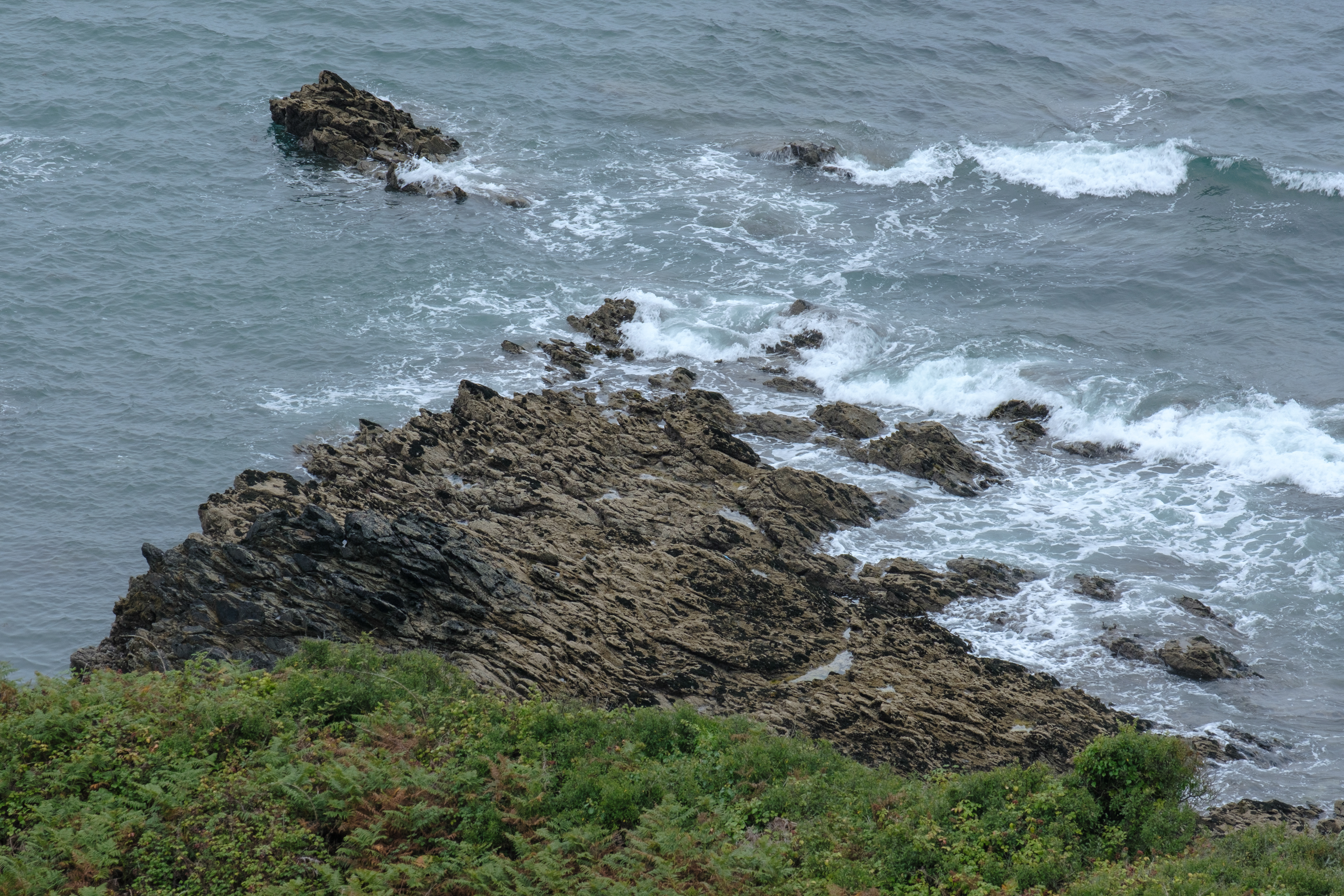 Roskorwell
