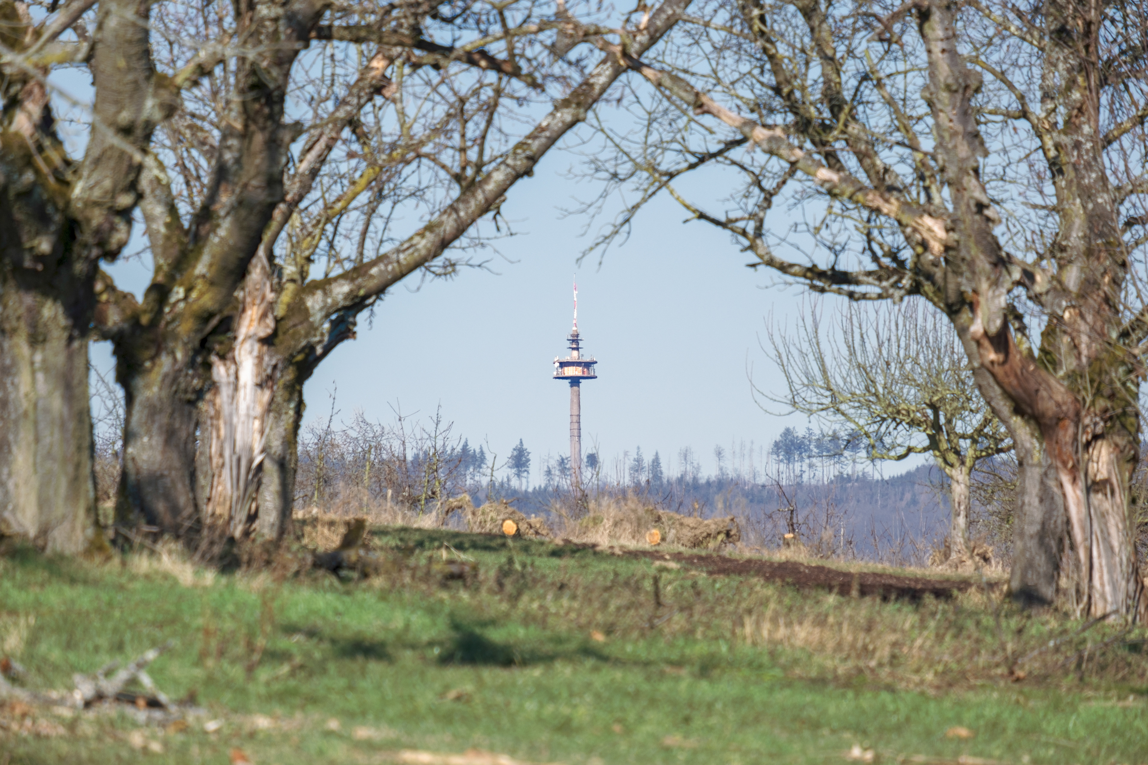 Frauenstein