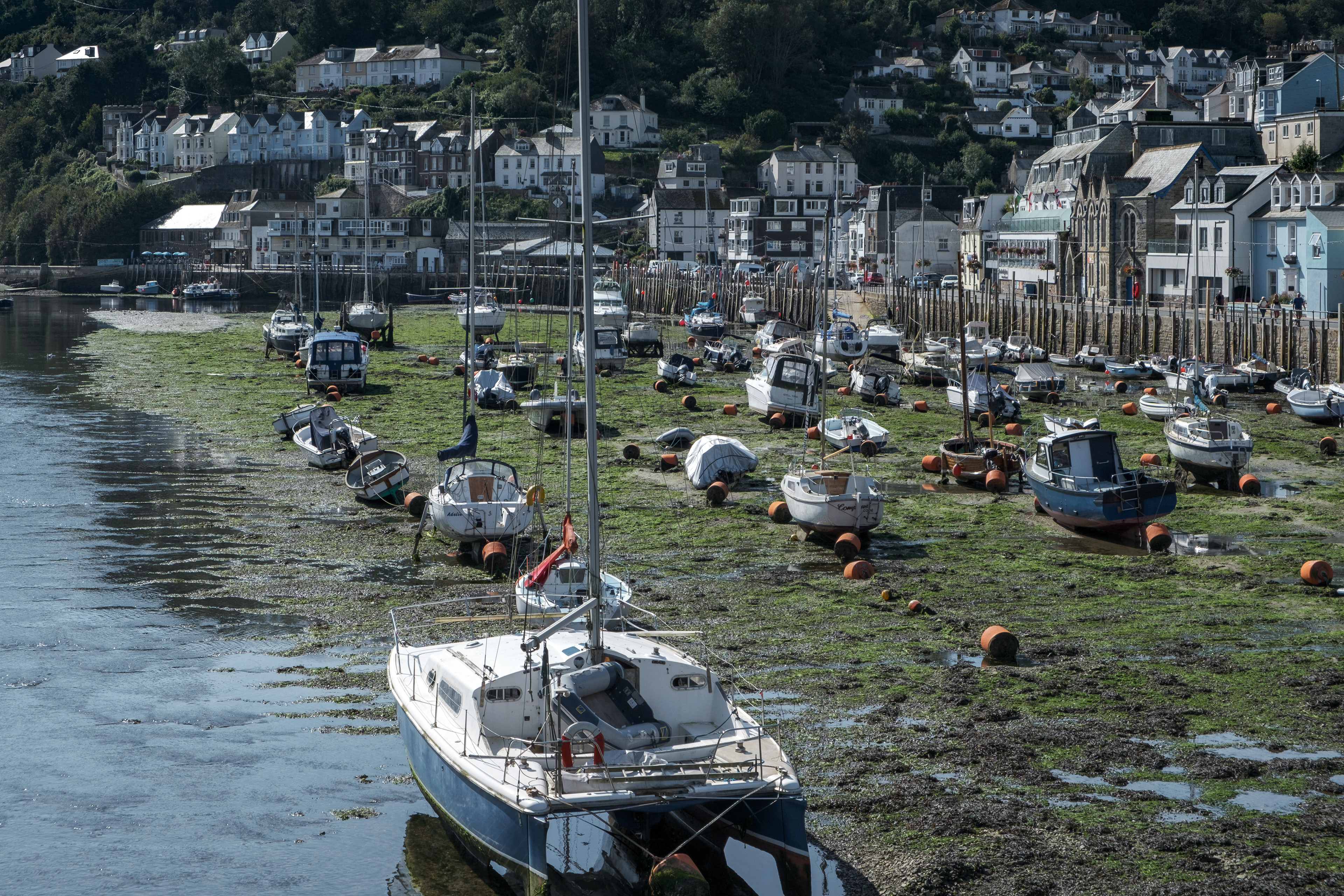 Looe