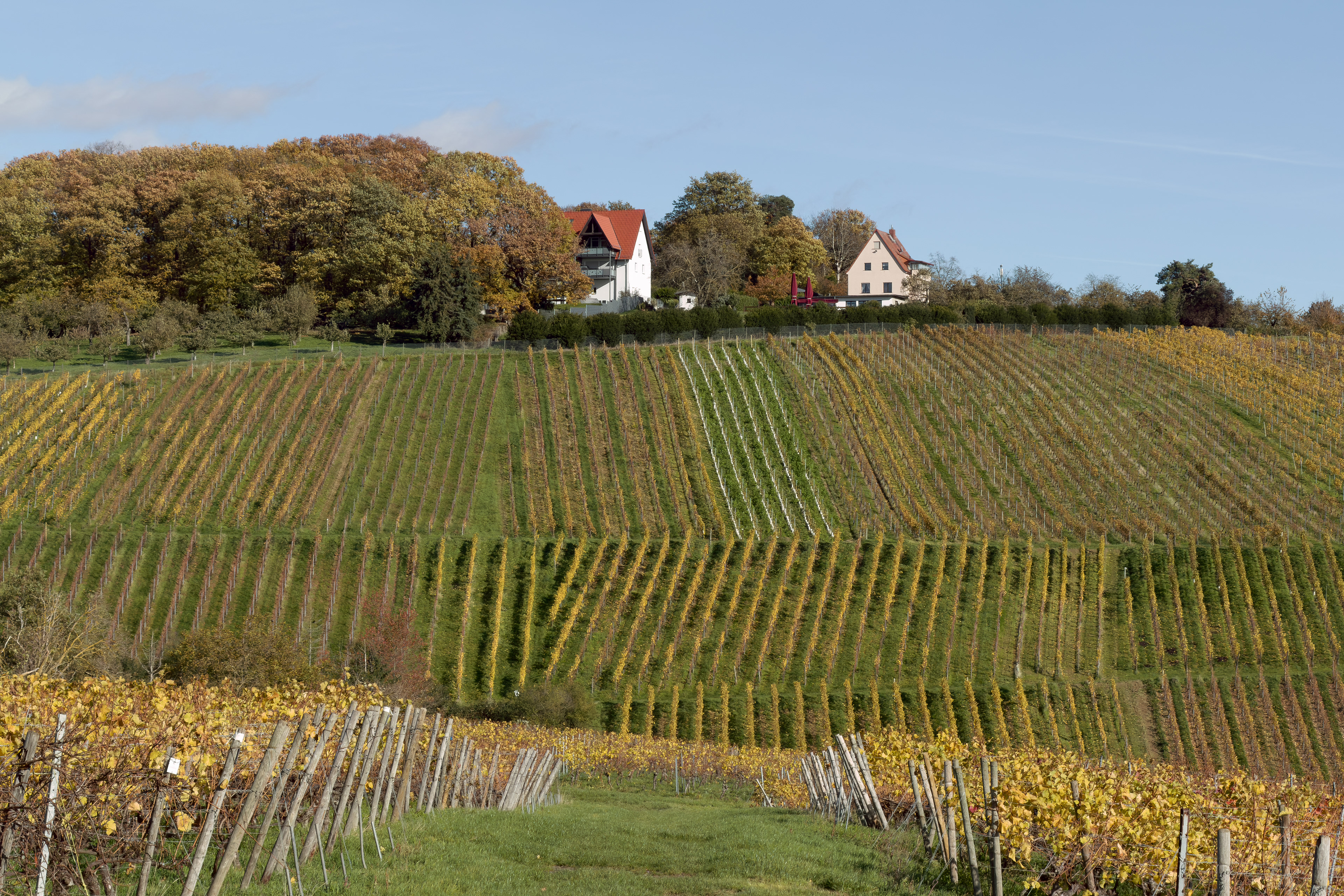 Frauenstein