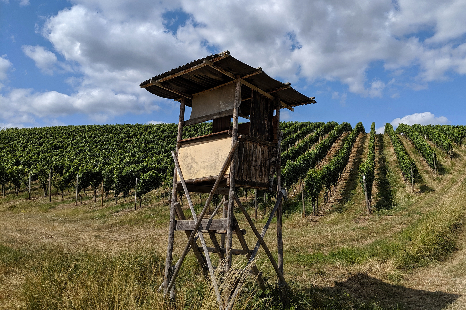 Frauenstein