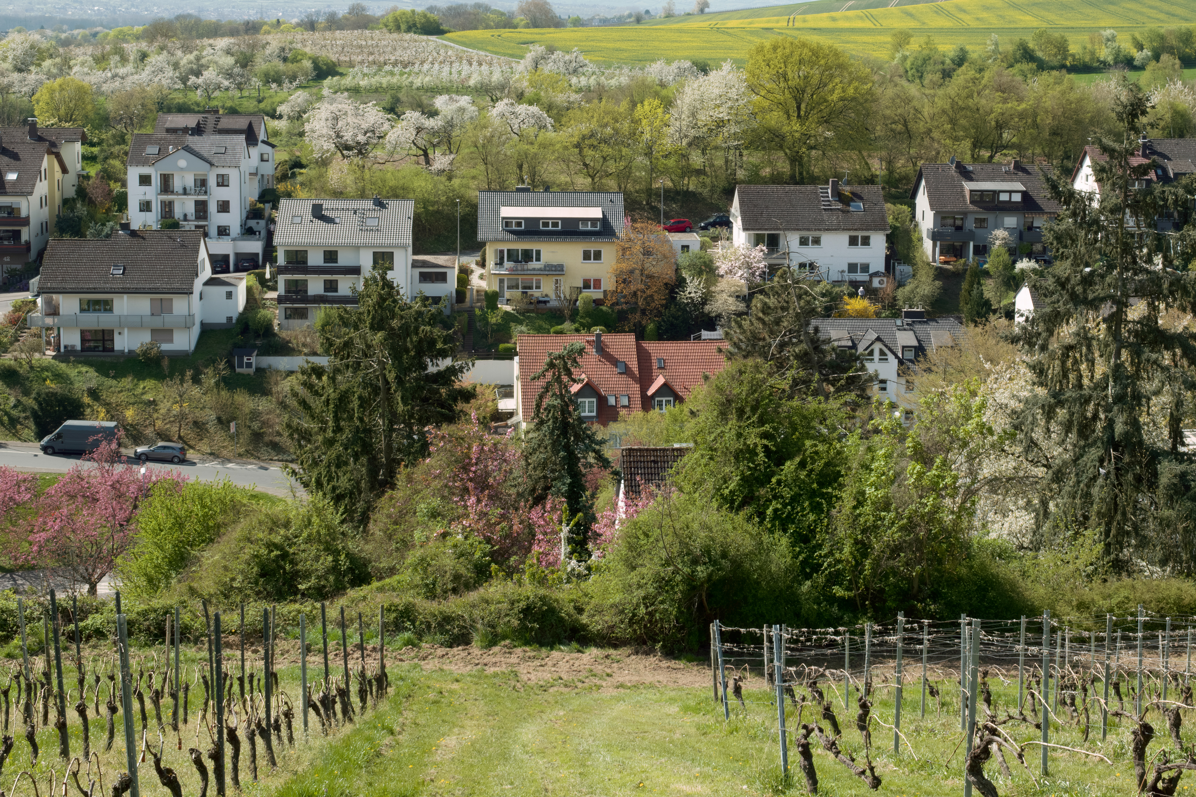 Frauenstein
