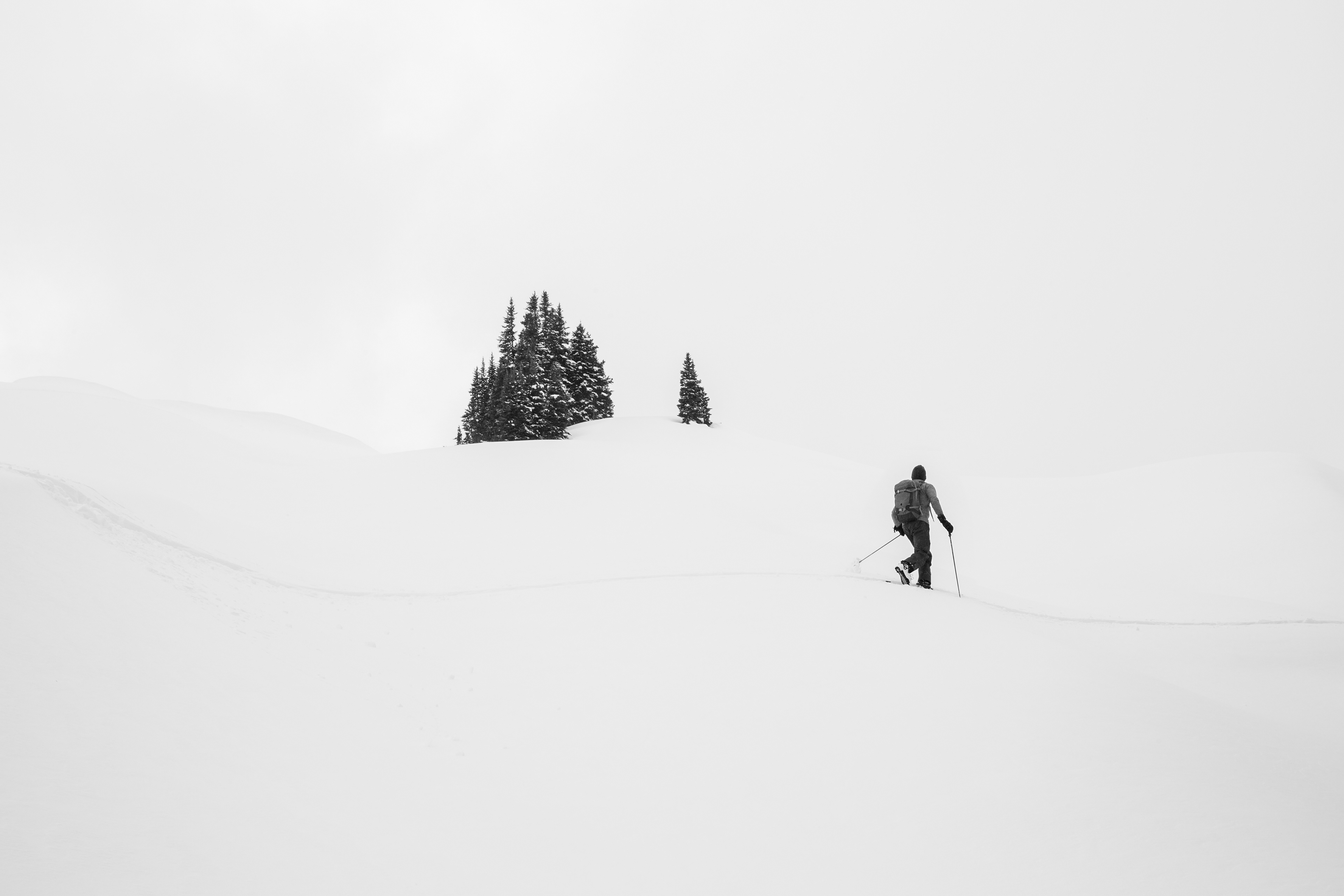 Andrew Querner, photographer