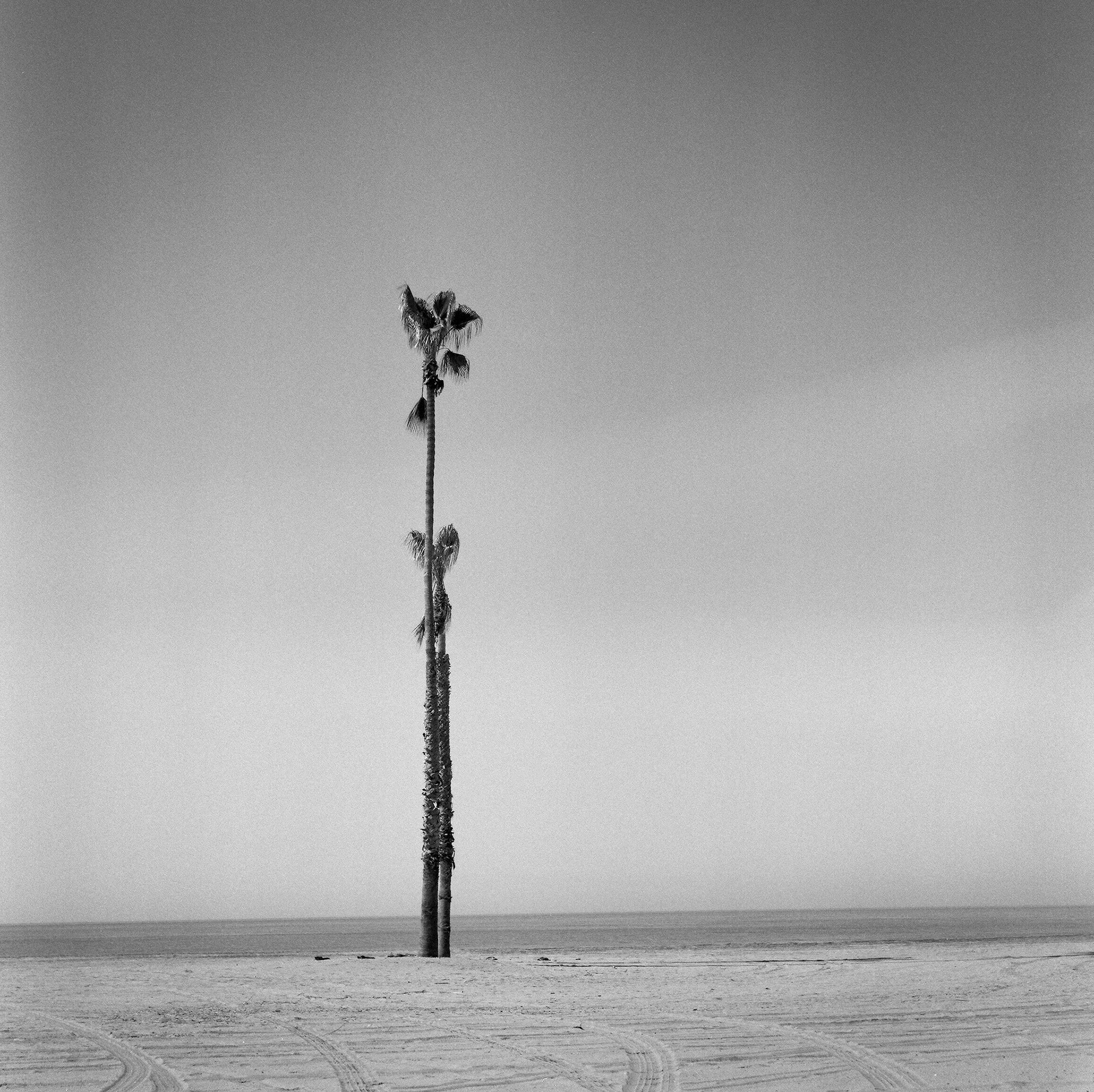 Dockweiler Beach I