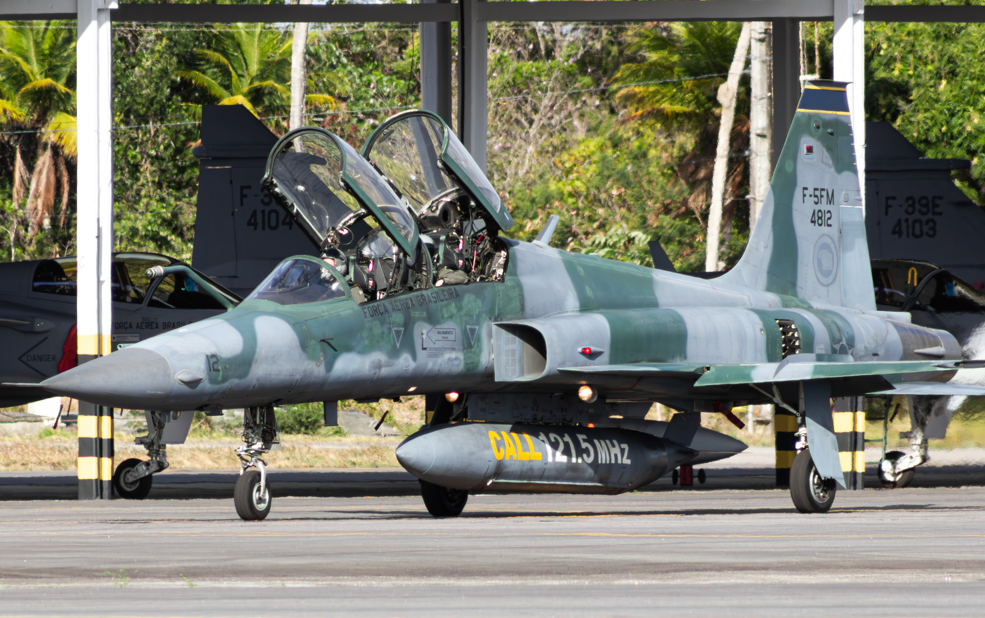  NORTHROP F-5FM TIGER II FAB 4812 - FORÇA AÉREA BRASILEIRA (CRUZEX 2024)