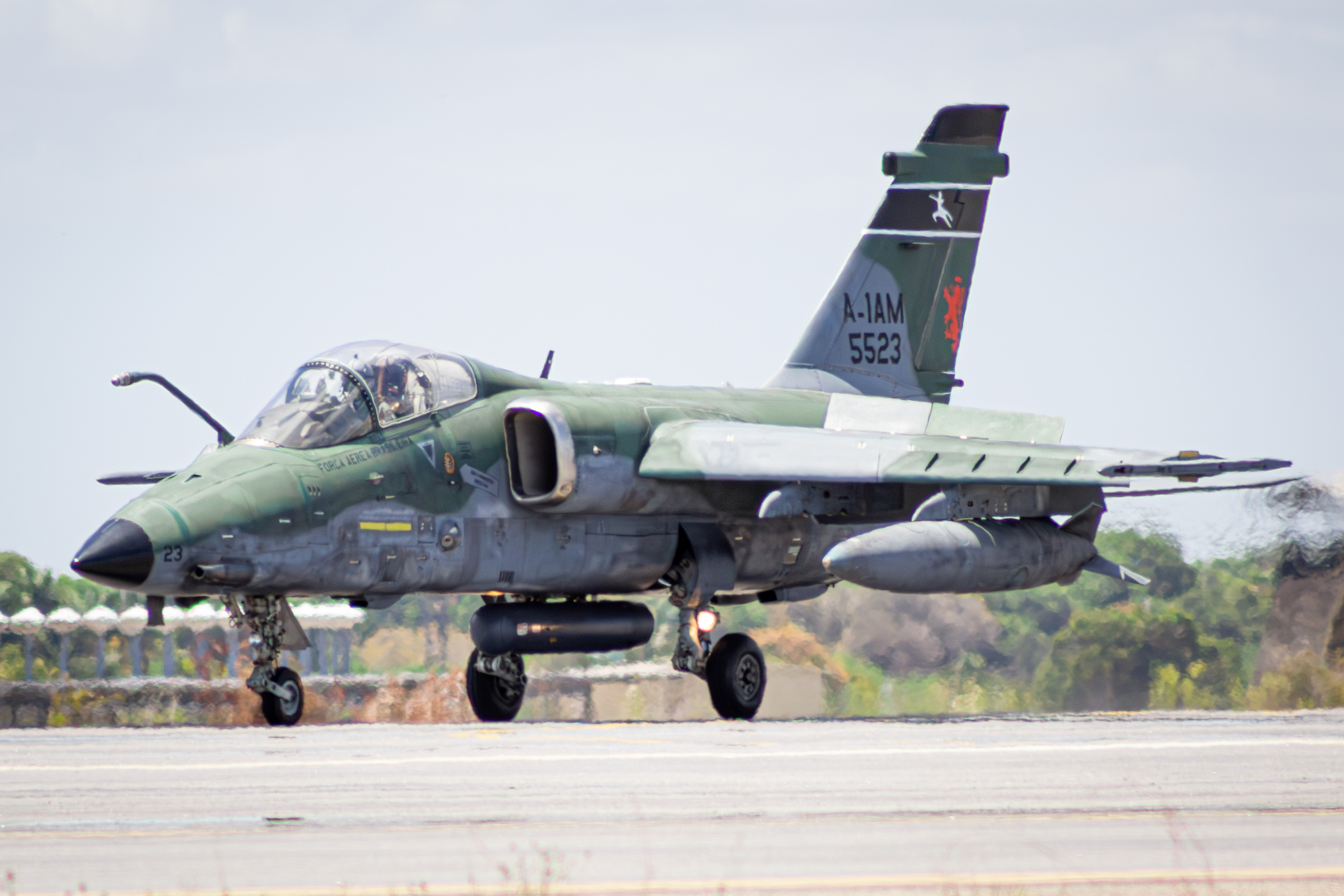 AMX INTERNATIONAL A-1BM FAB5523 - FORÇA AÉREA BRASILEIRA (CRUZEX 2024)