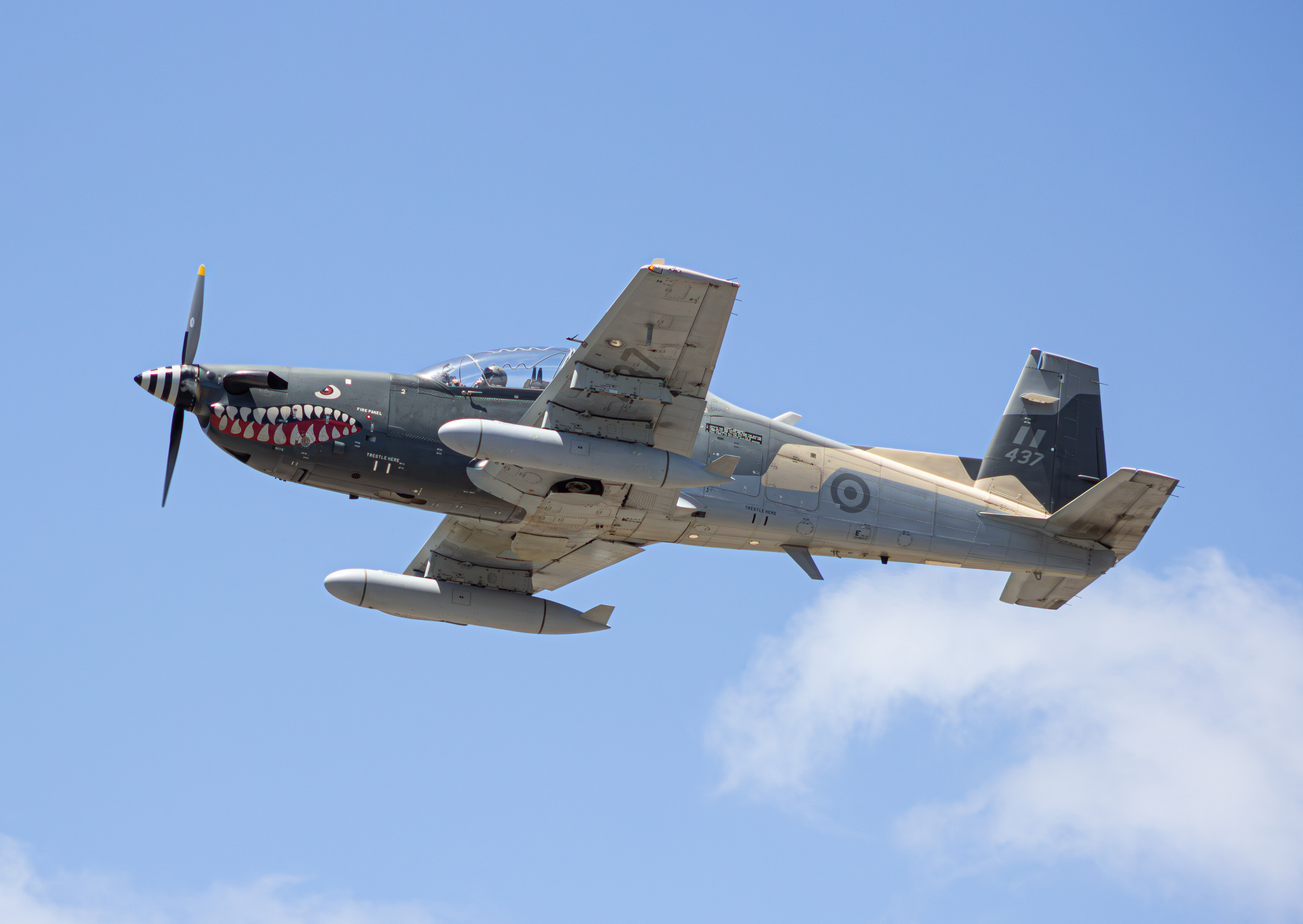 KOREA AEROSPACE KA-1P - FORÇA AÉREA PERUANA (CRUZEX 2024)