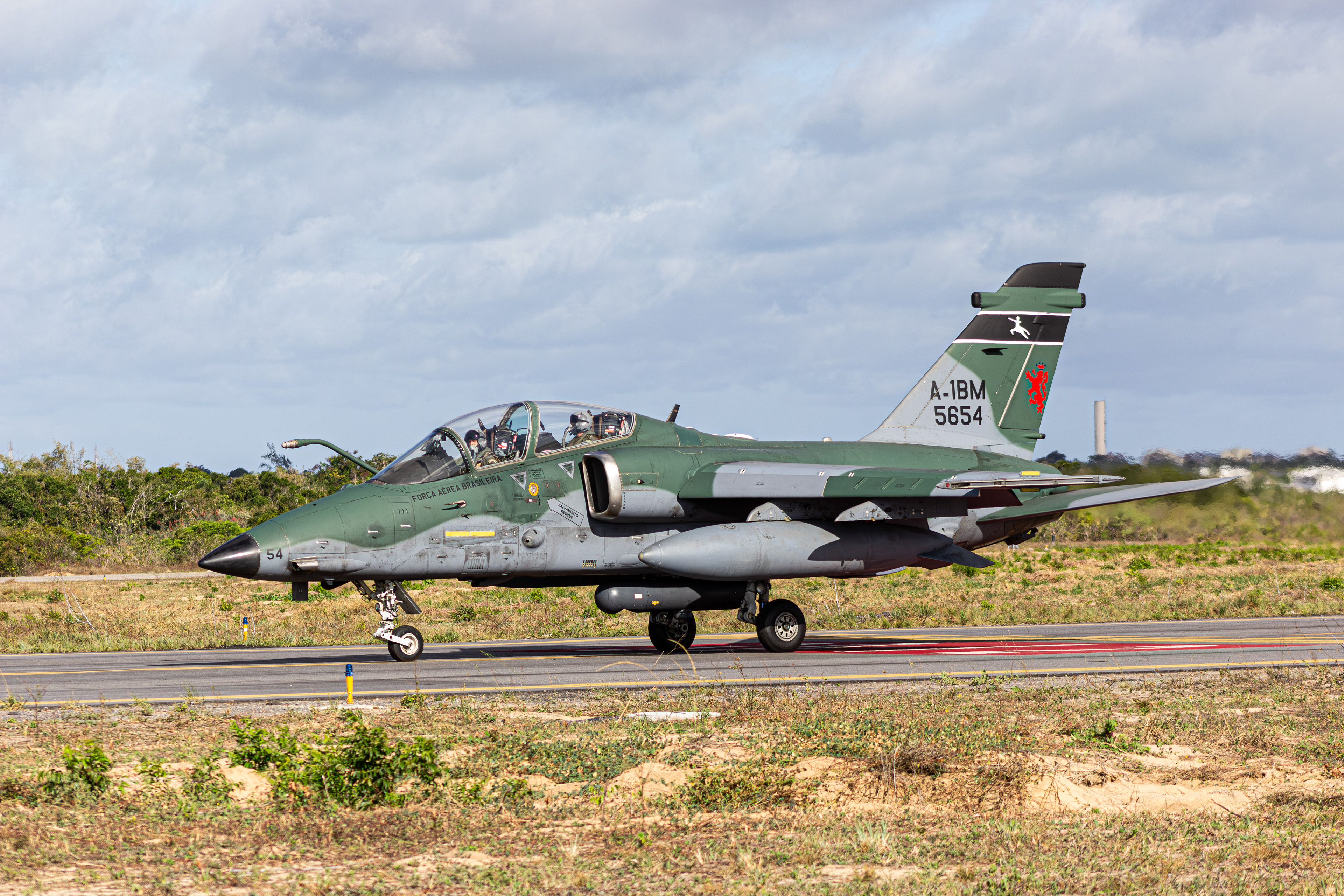AMX INTERNATIONAL A-1BM FAB5654 - FORÇA AÉREA BRASILEIRA (CRUZEX 2024)