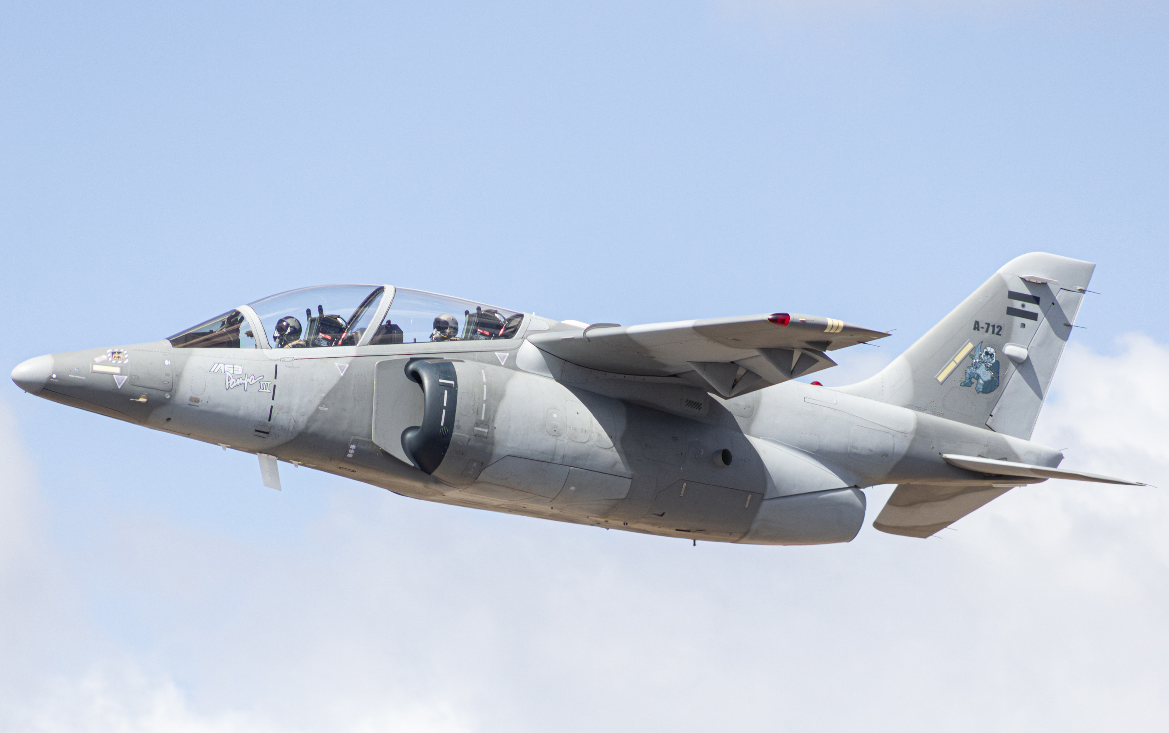 FMA IA-63 PAMPA III A-712 - FORÇA AÉREA ARGENTINA (CRUZEX 2024)