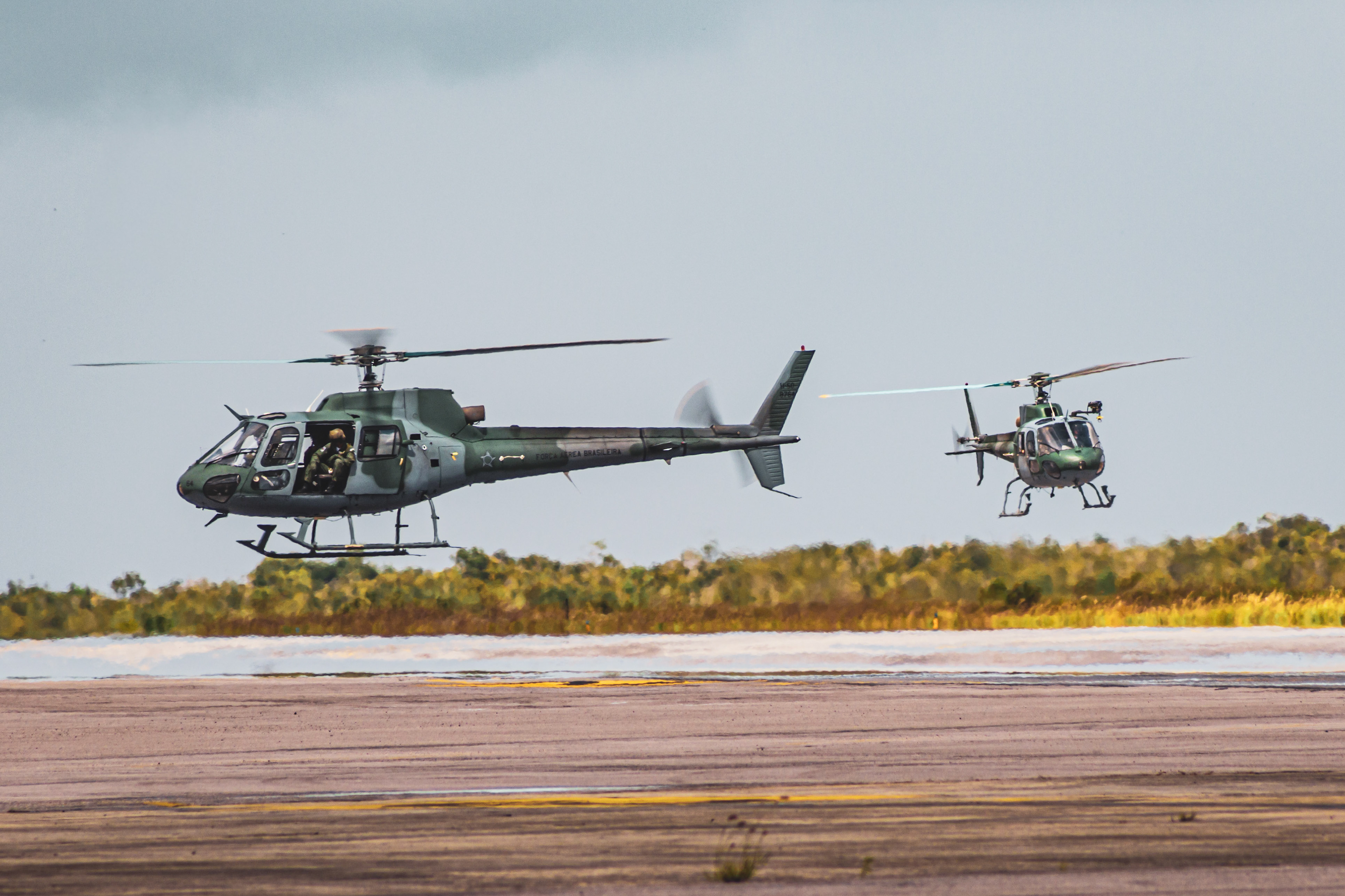 HELIBRAS H50 ESQUILO FAB8786 E FAB 8764 - FORÇA AÉREA BRASILEIRA (BANT)