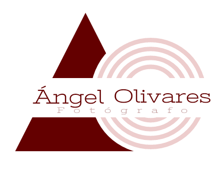 Angel Olivares del Campo