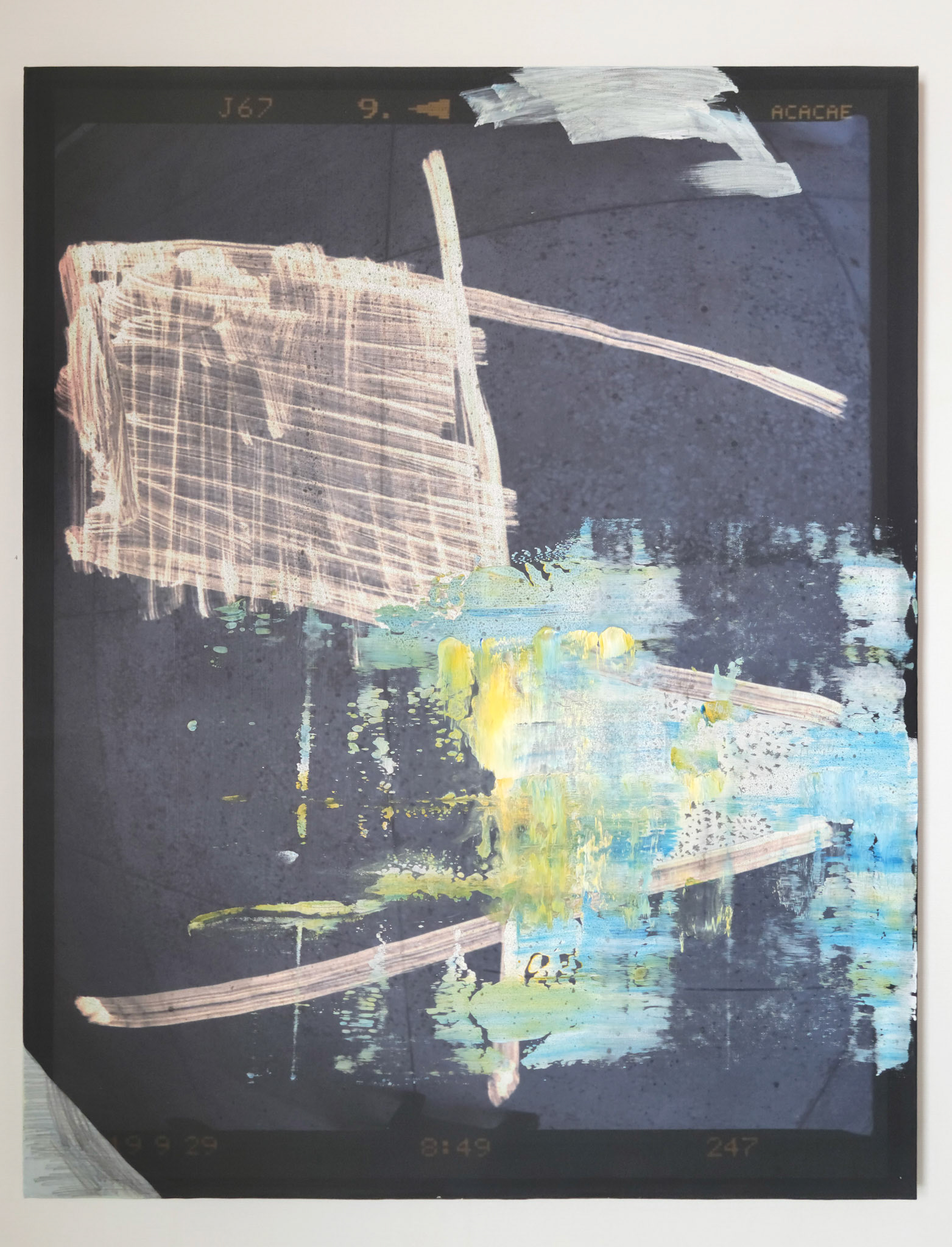 Photogram, 2020, Mixed Media on Pigment Printed Canvas, 90.5 x 72cm