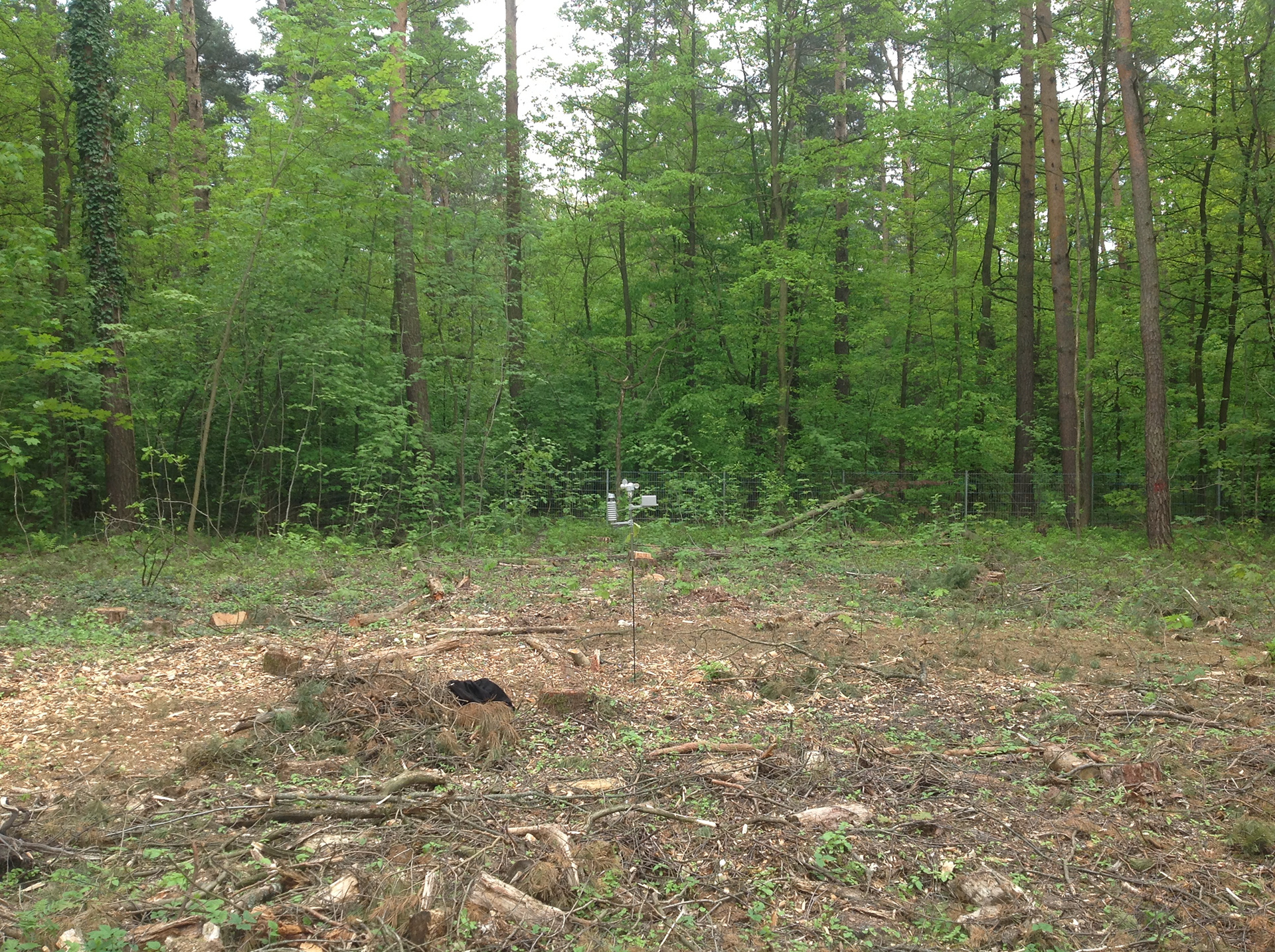 A device that measures wind speed was installed for approximately 30 days and stored data.