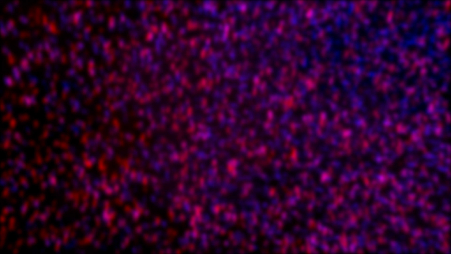 It scattered and turned red, 3CH Full HD Videos, No Sound, 05 : 00 min., Loop, 2020