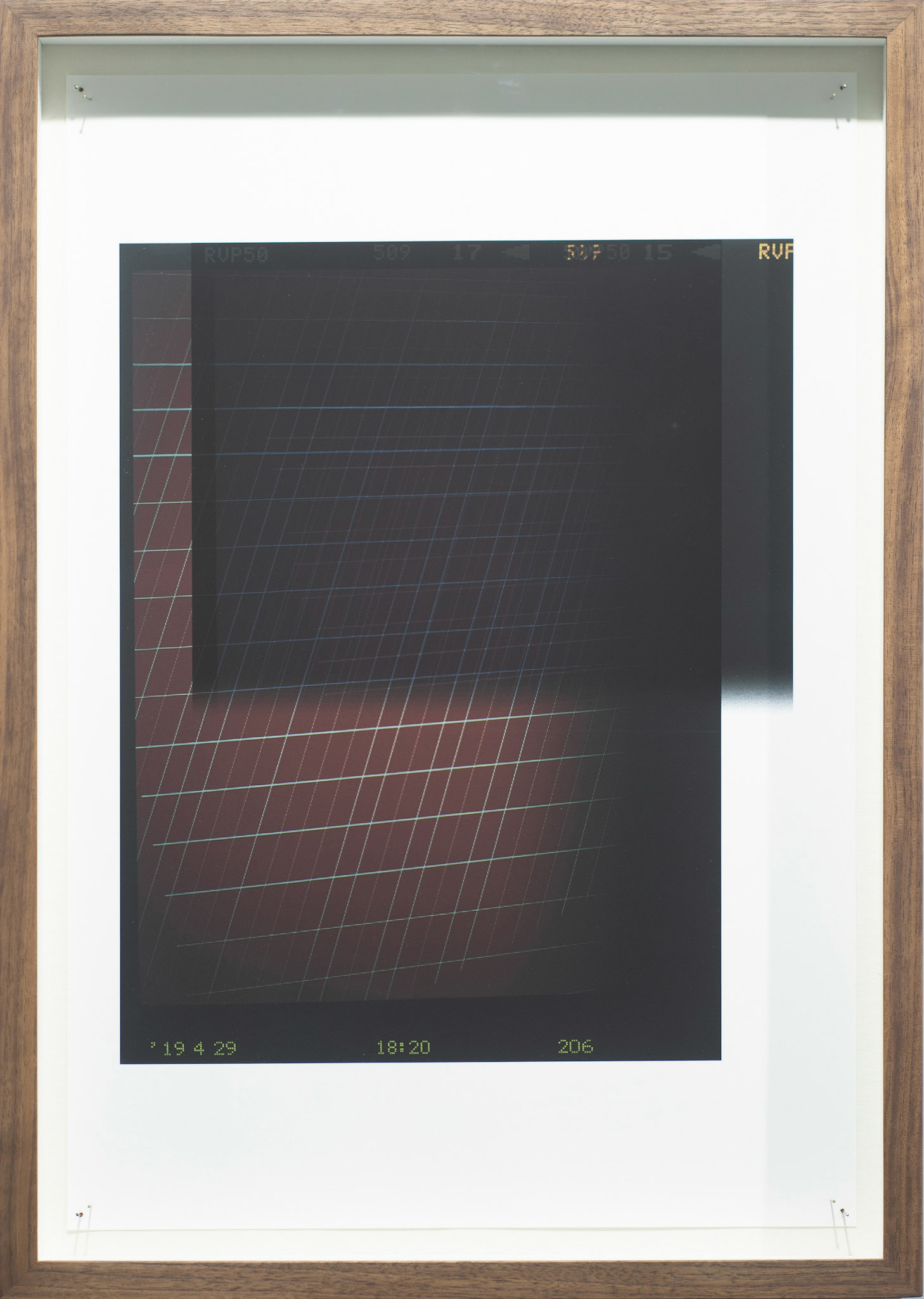 Doubbling(RB), 2019(2018), Digital C Overlap Print on Epson Archival Matte Paper, Pin, 49 x 33cm