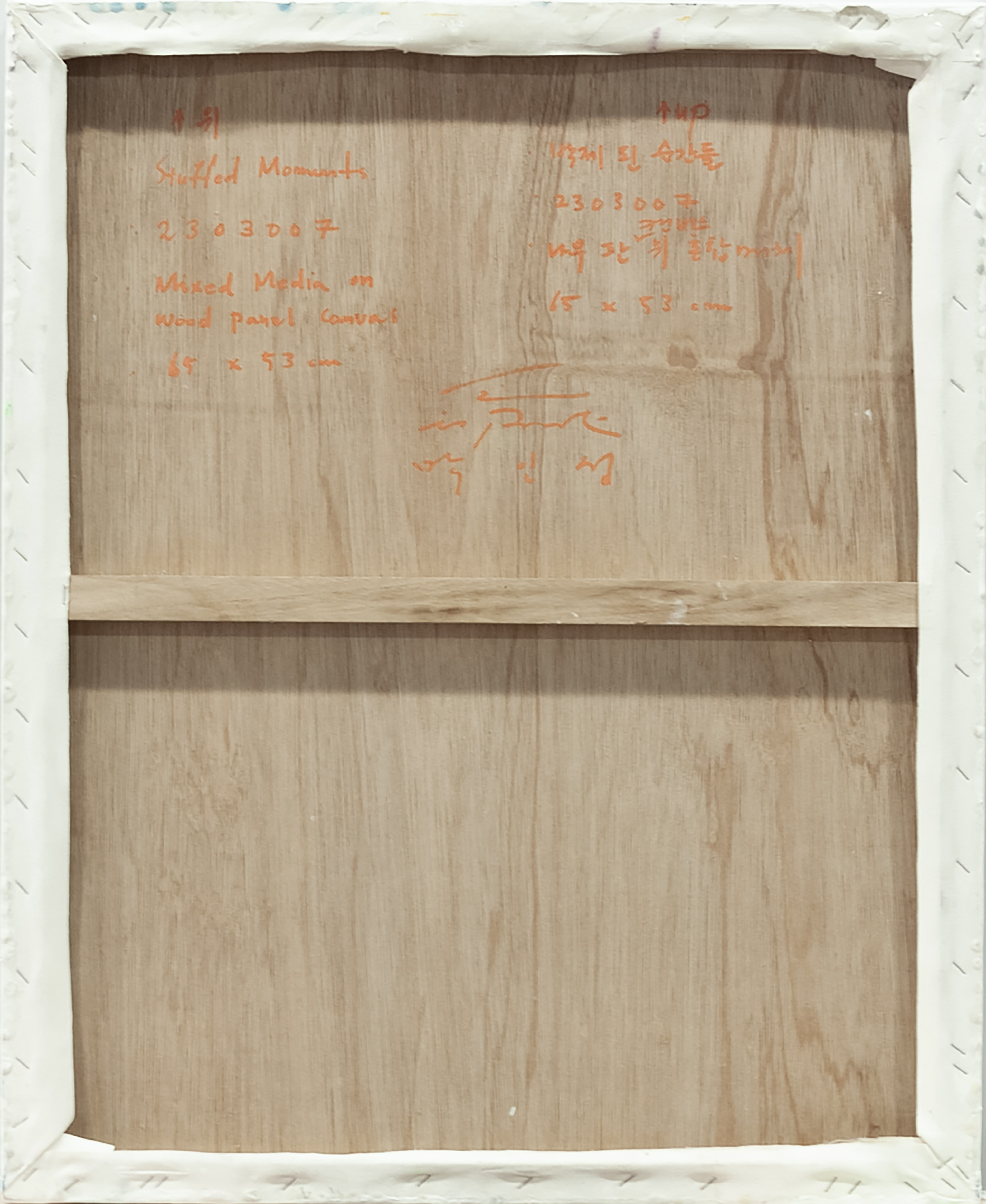 2303001 Stuffed Moments, 2023, Pencil, Acrylic, Epoxy Resin, Pigment Printed Papers on Canvas, 65 x 53 x 3cm