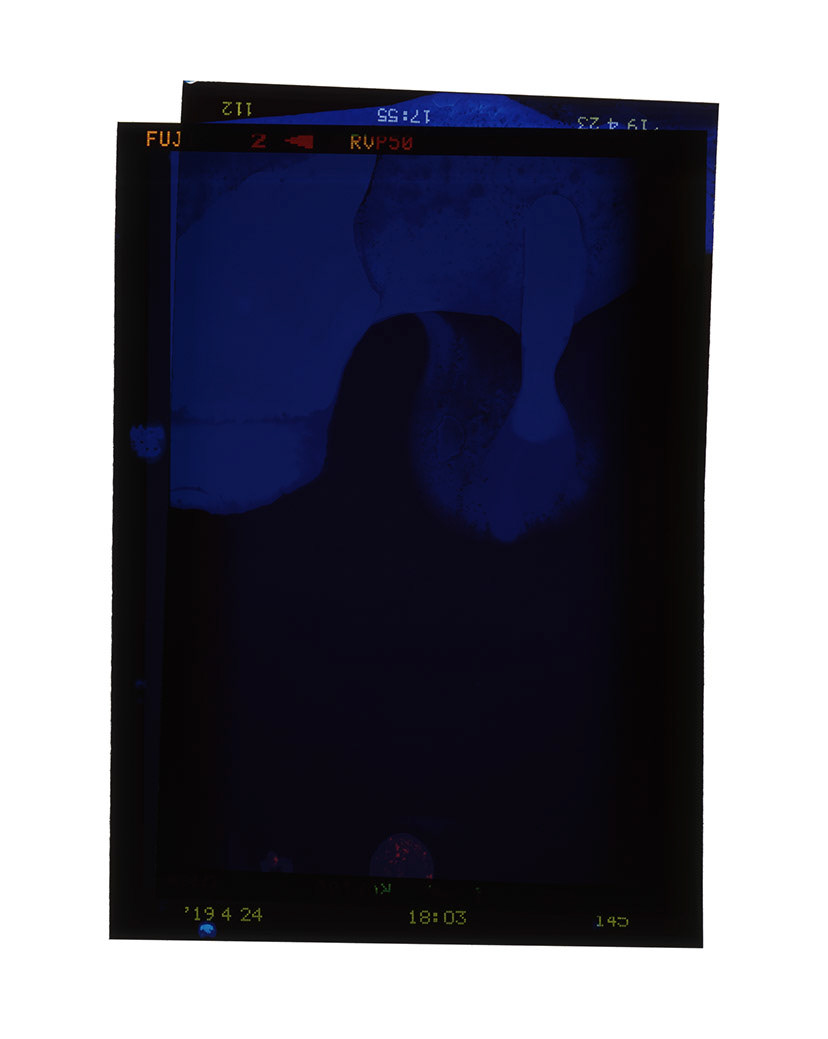 film 059, 2020, Digital C-print on Transparent Paper, 163 x 130cm
