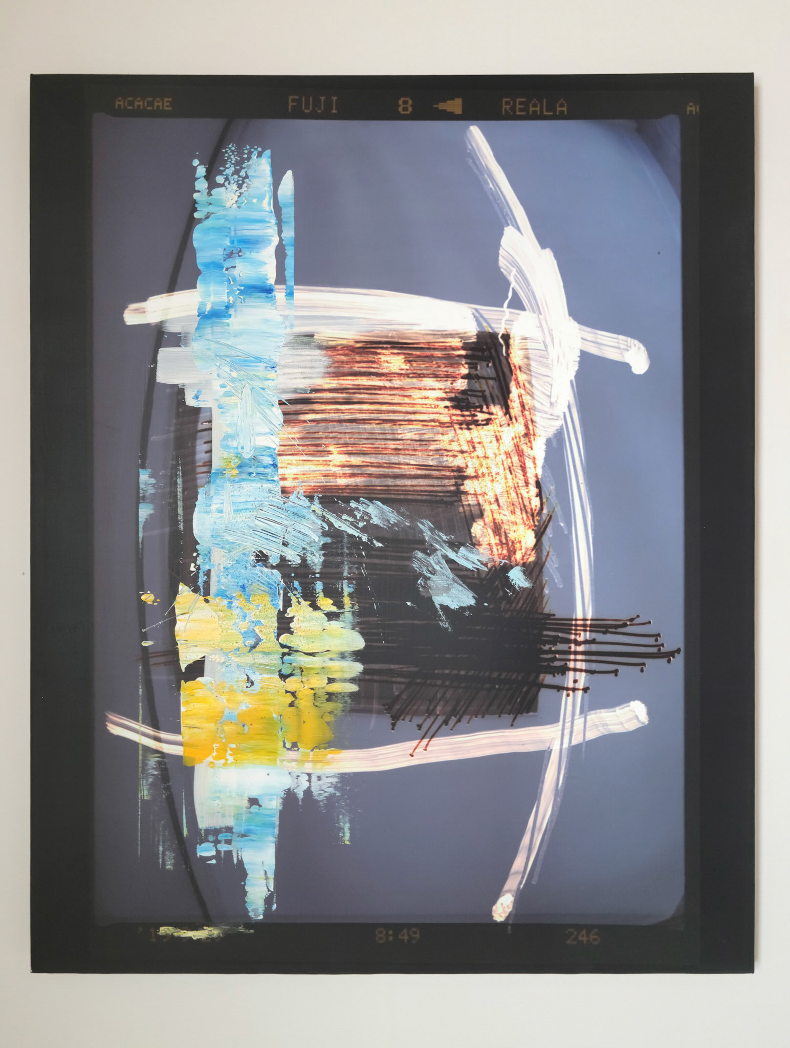 Photogram, 2020, Mixed Media on Pigment Printed Canvas, 90.5 x 72cm