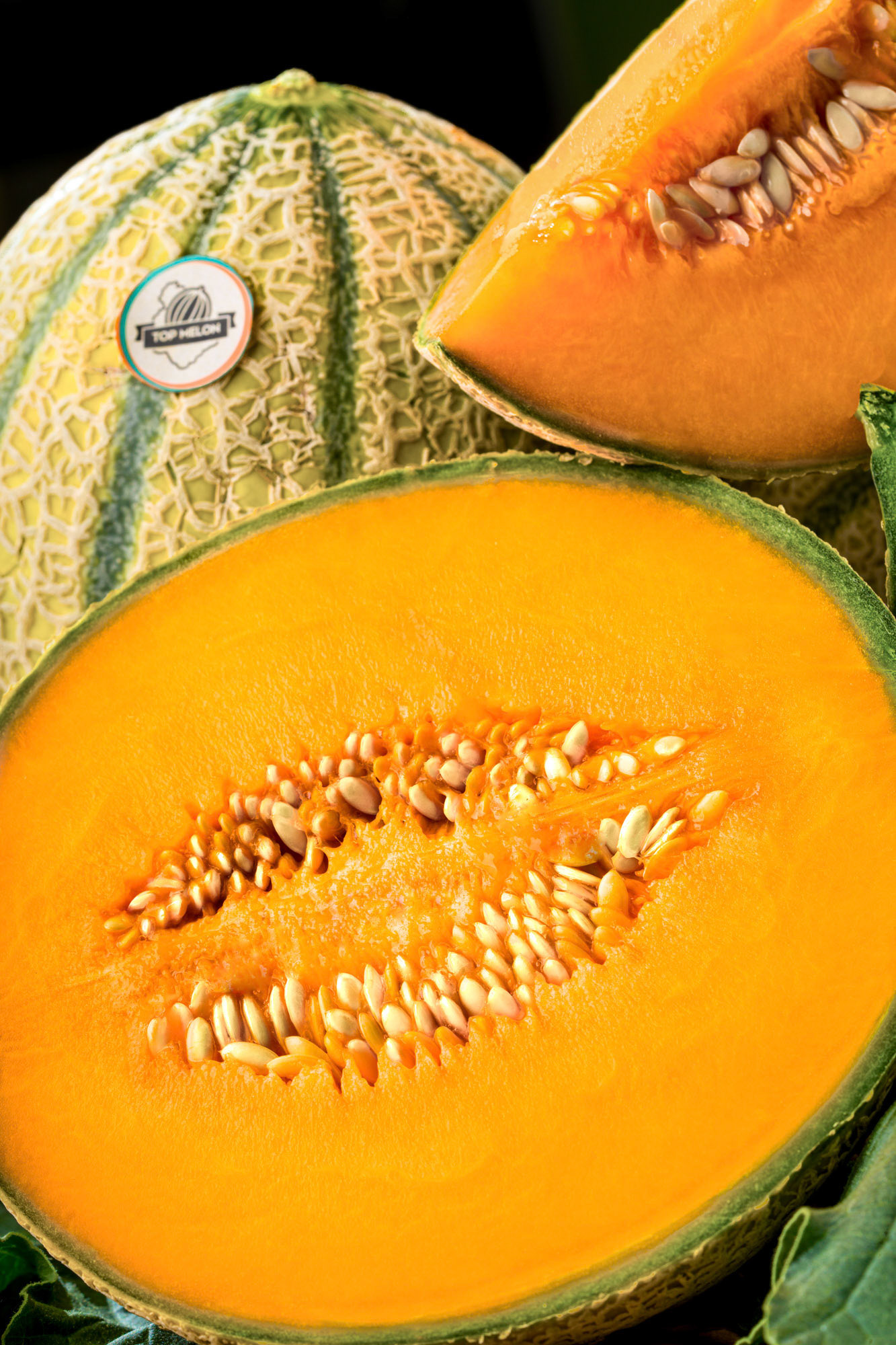 Top Melon, Advertising picture