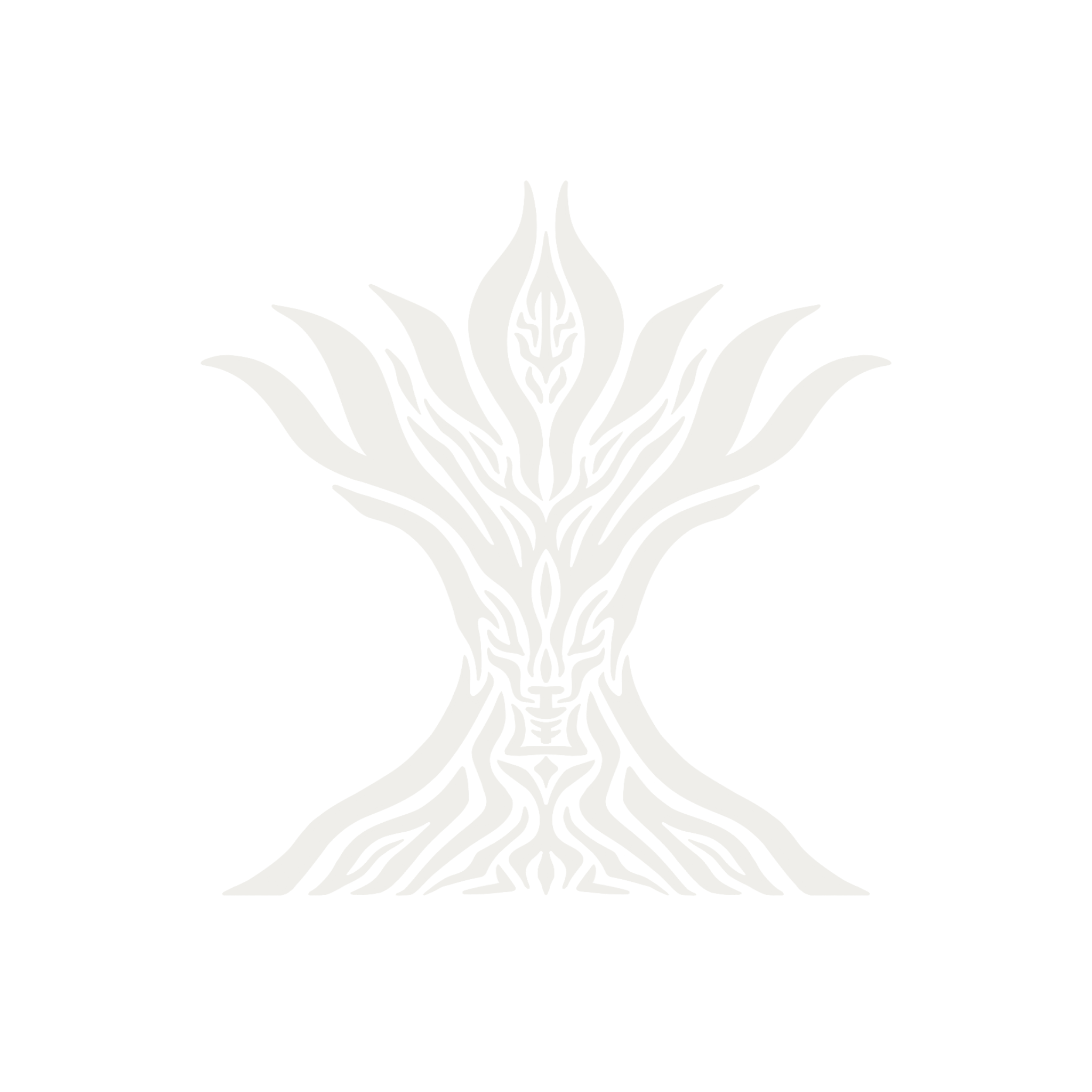 Ancient Forest