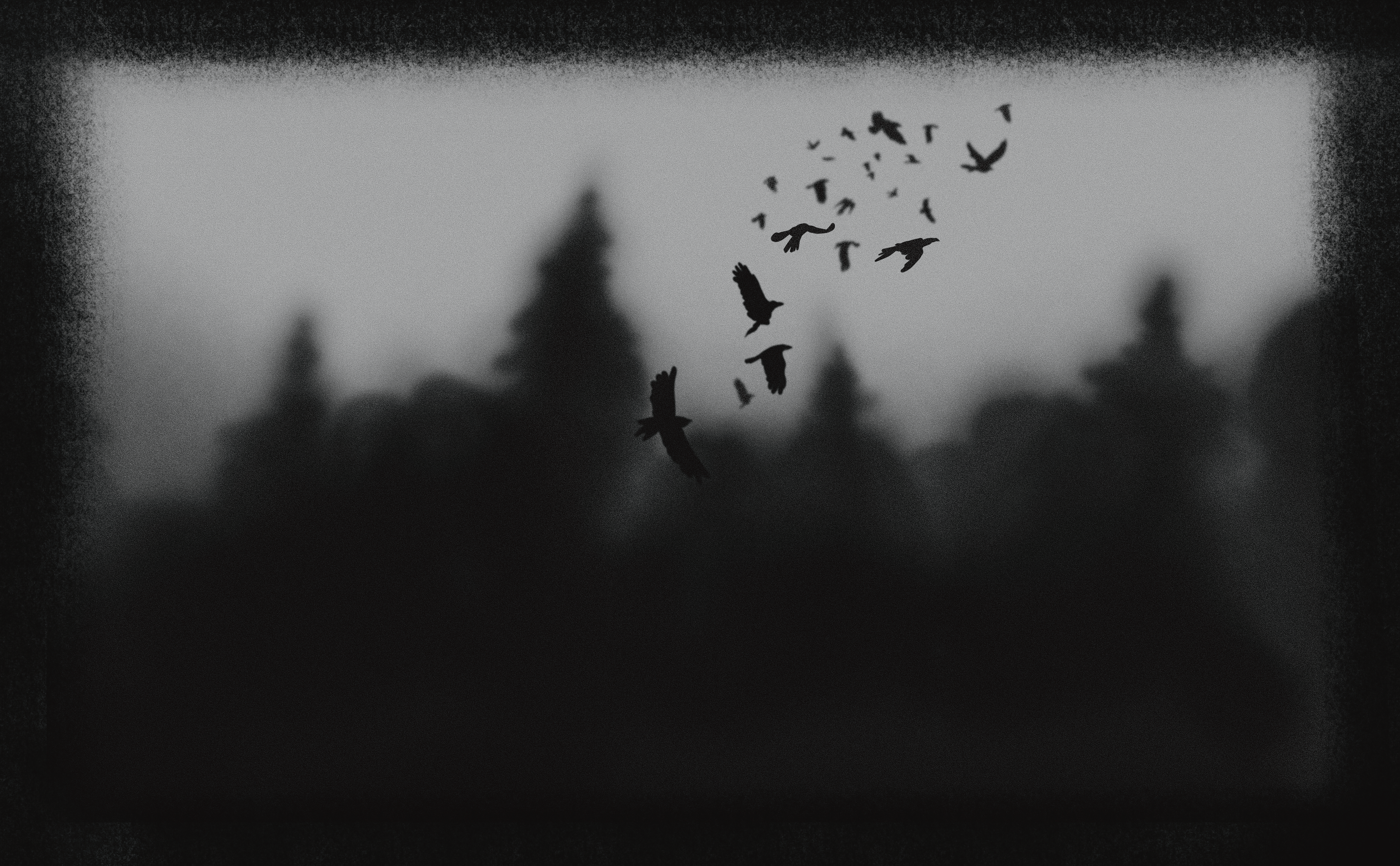 "SUPERSTITION IV - FLOCK OF BIRDS FLYING AWAY FROM THE WOODS"