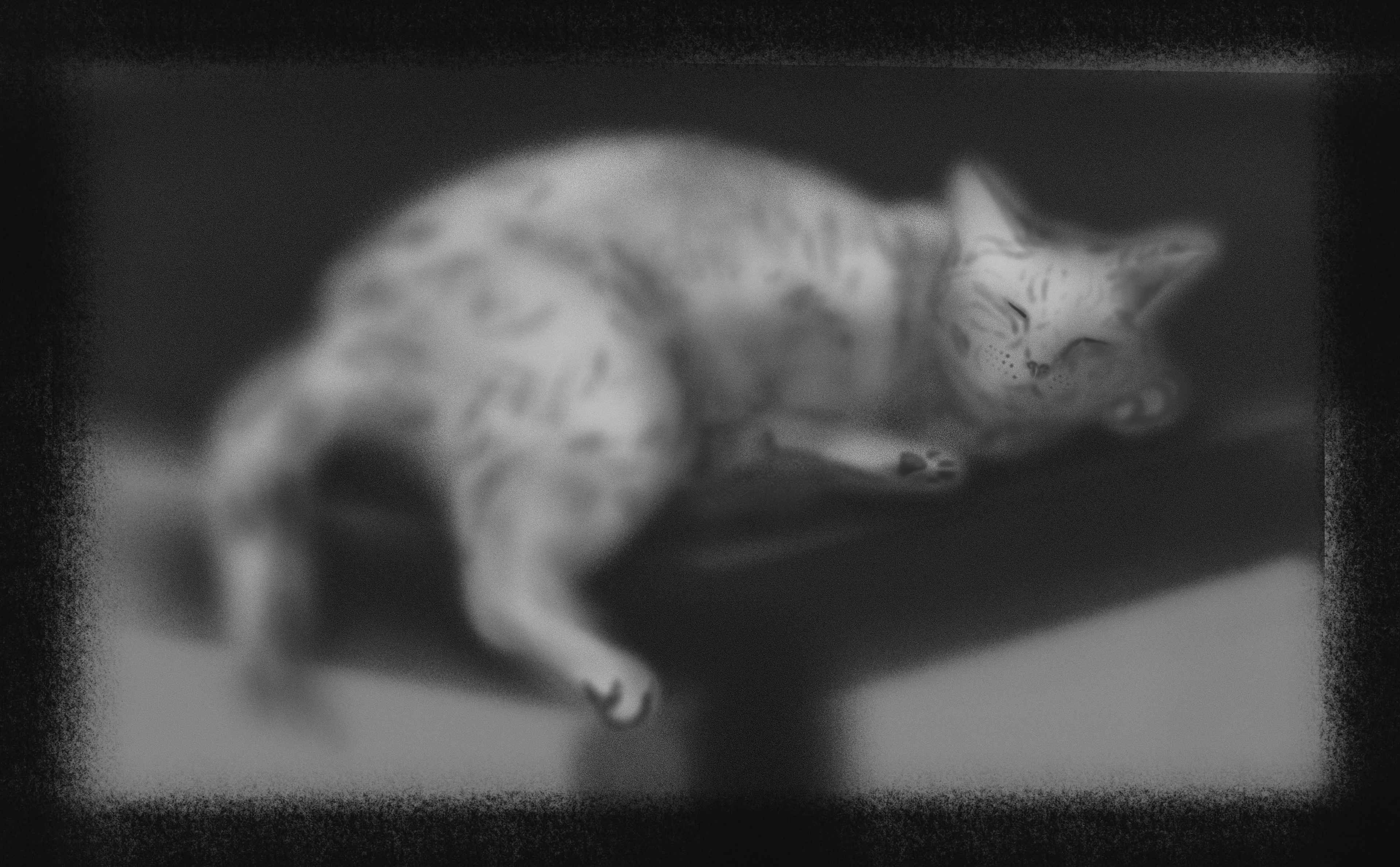 "SUPERSTITION VII - CAT SLEEPING ON THE TABLE"