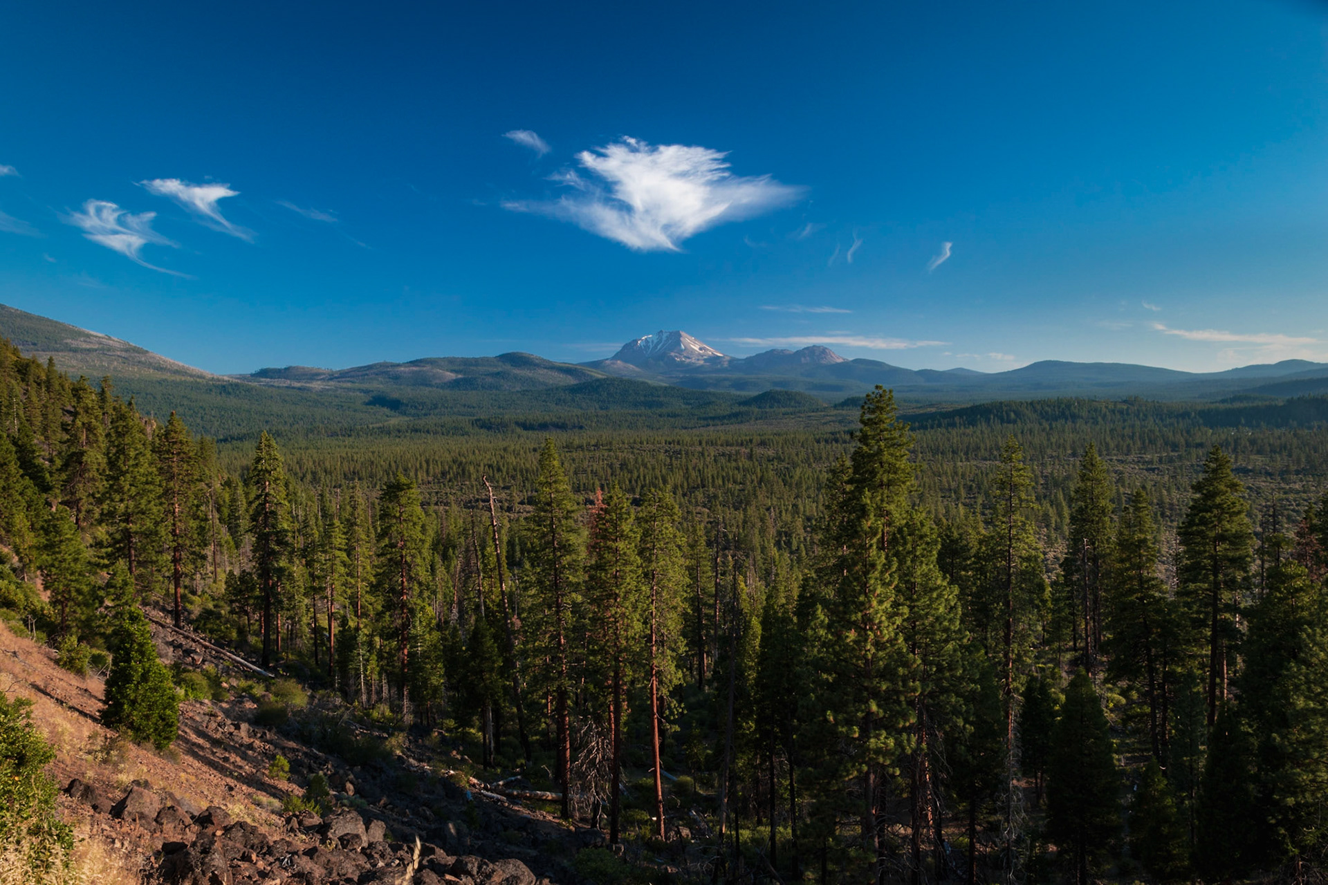 Mt. Lassen behind forested valley