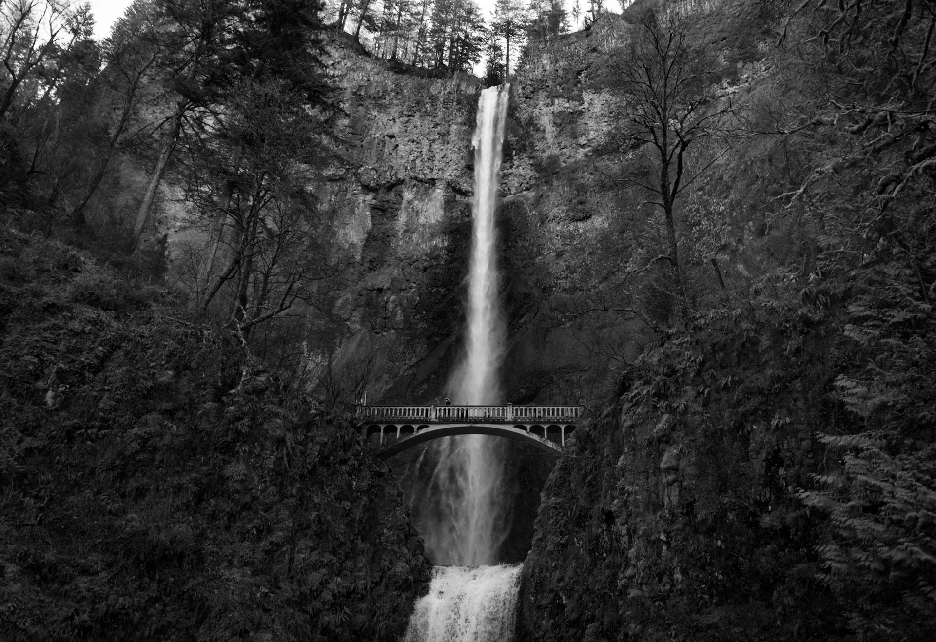 Multnomah Falls landscape B&W