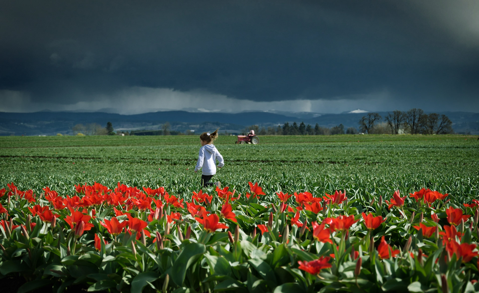 Tulip farm girl running