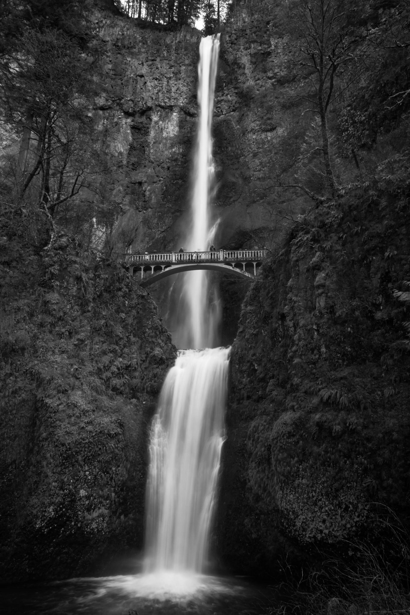 Multnomah Falls portrait B&W