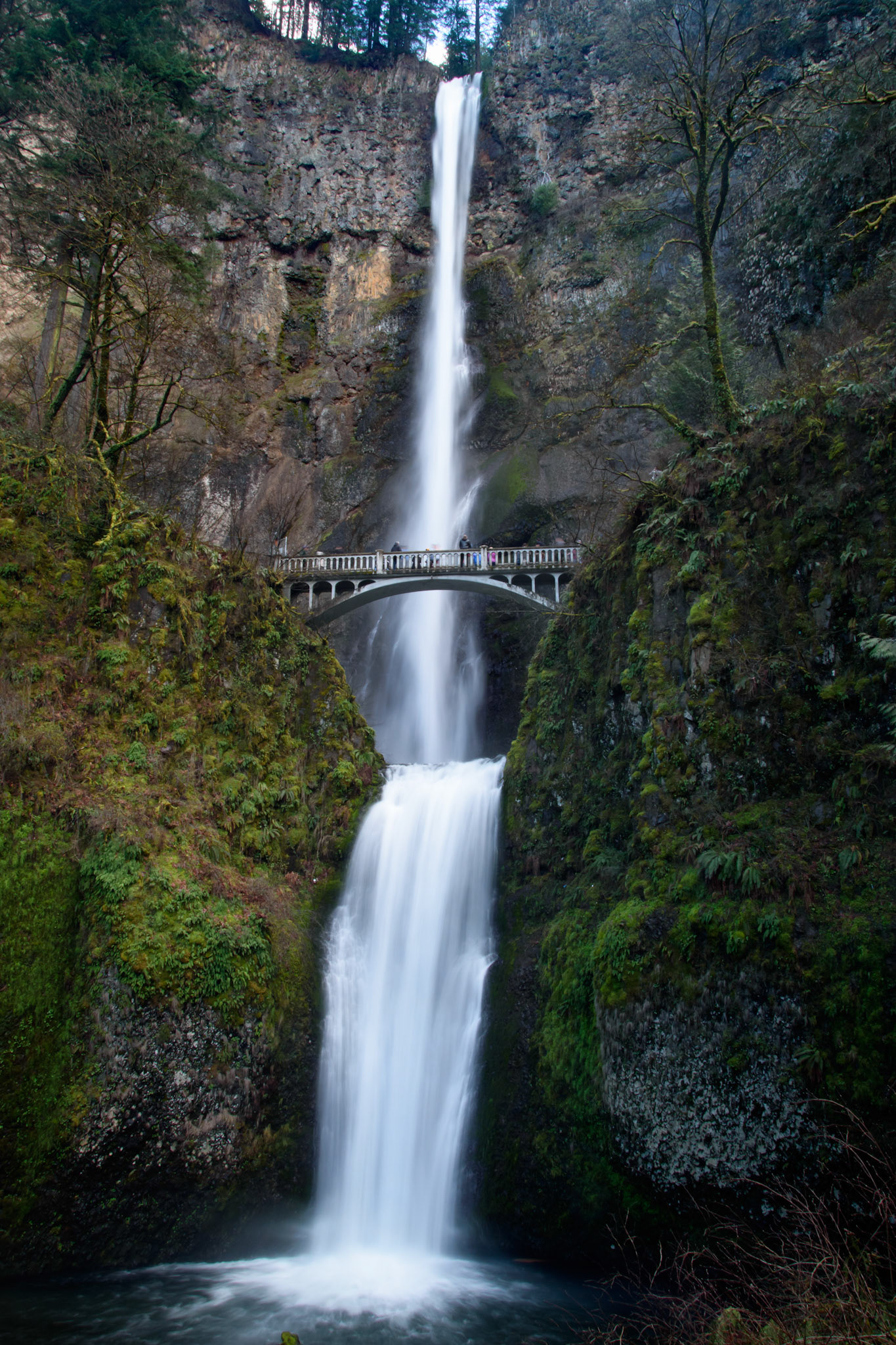 Multnomah Falls portrait