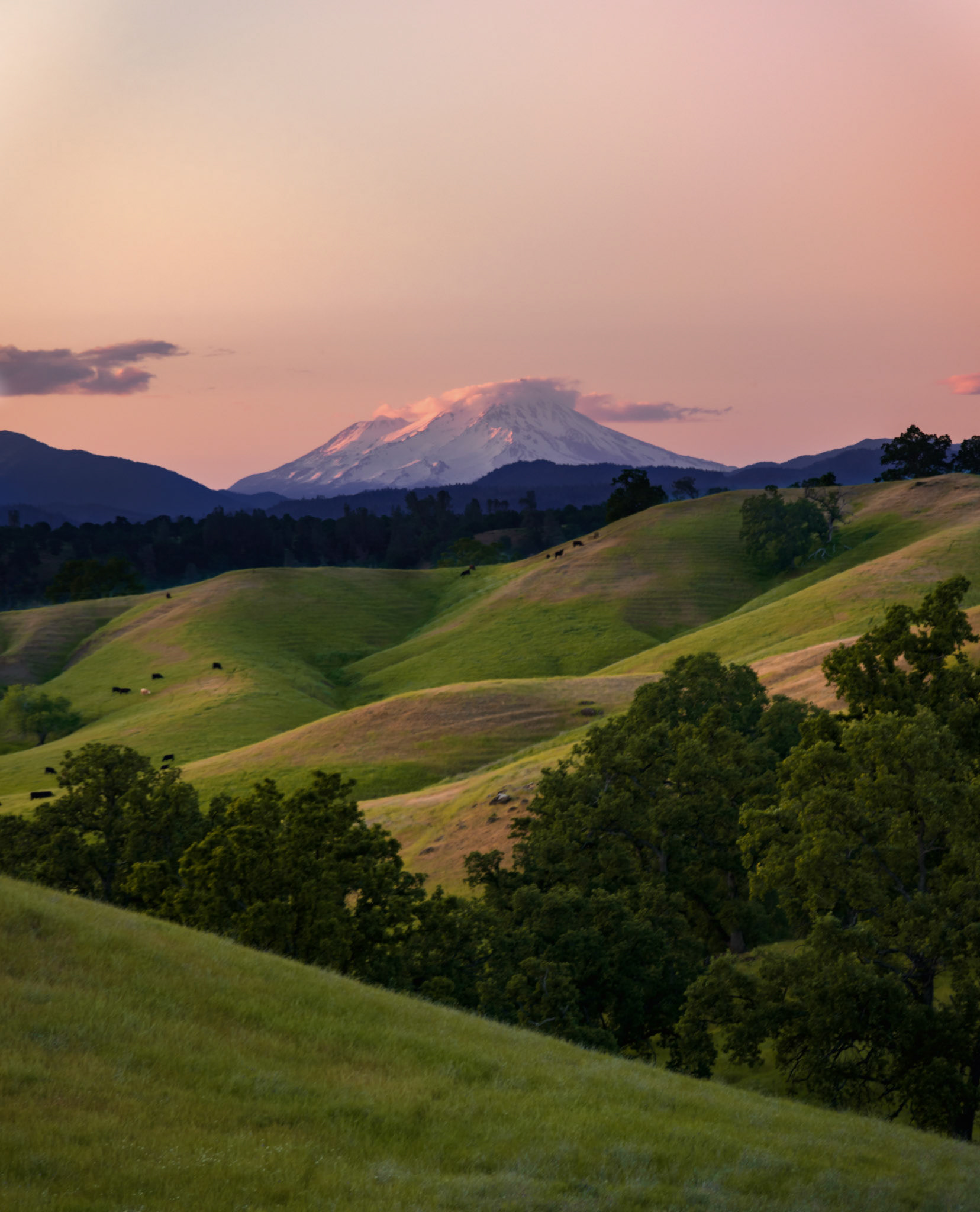 Mt. Shasta behind hills