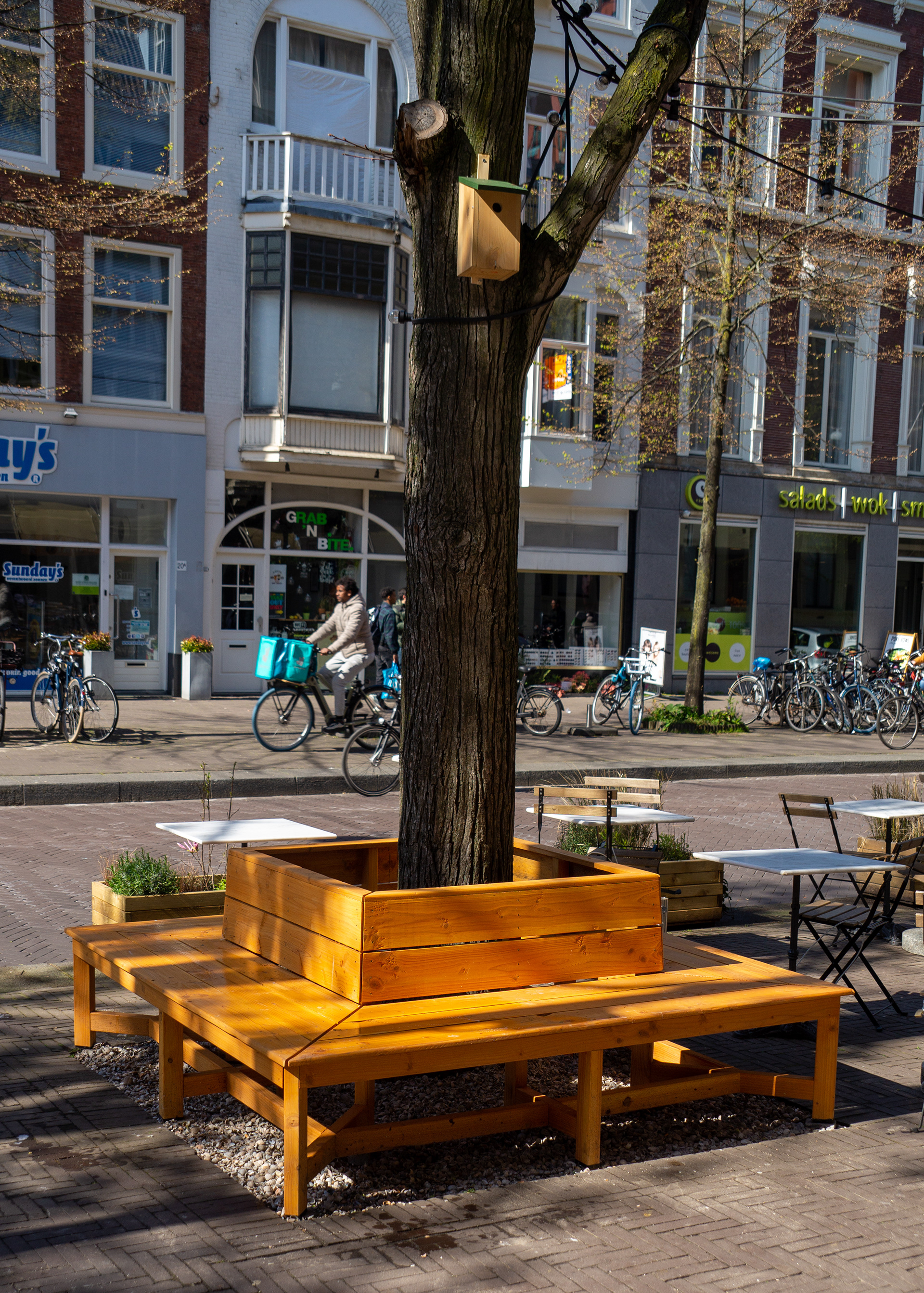 Bank om boom terras