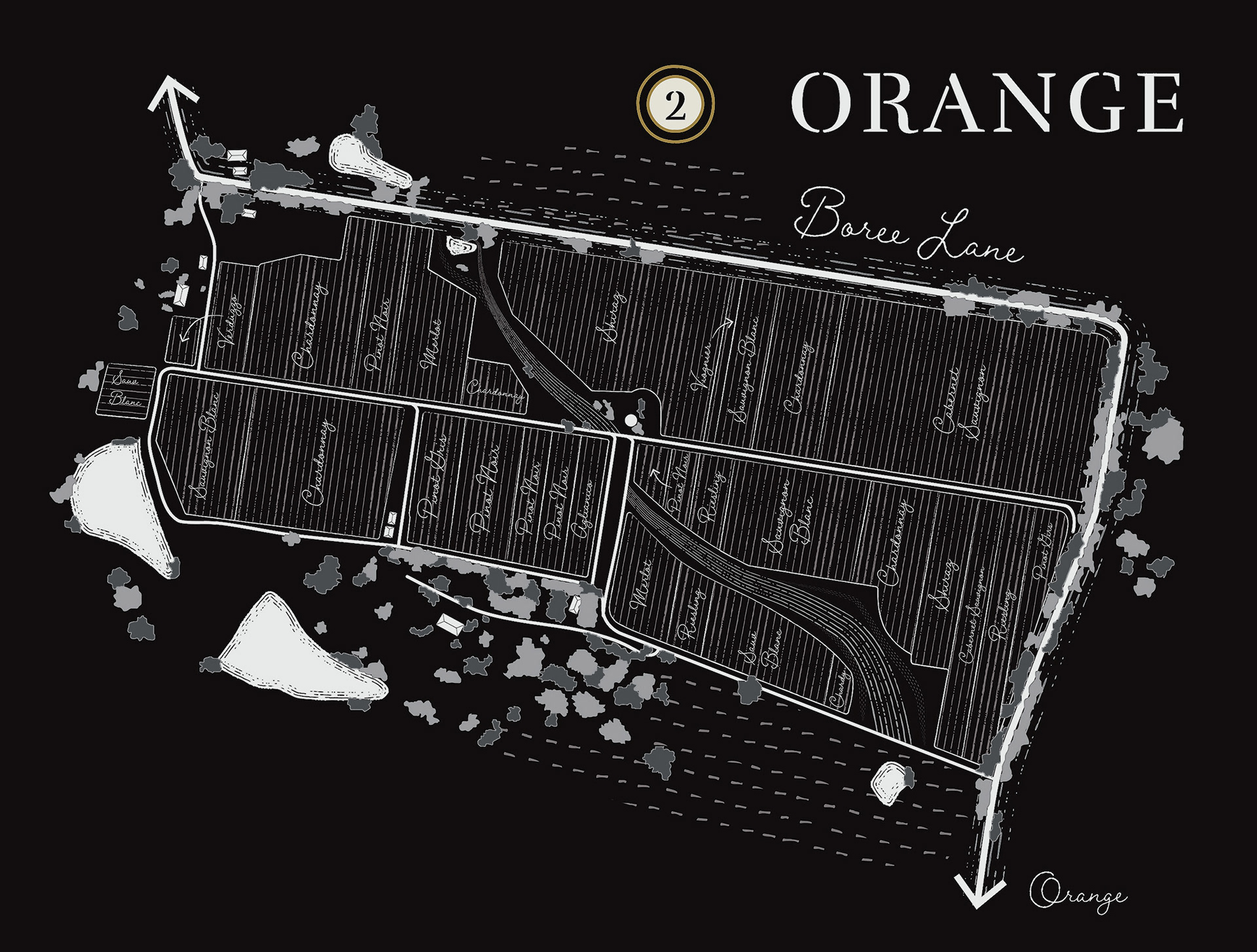 Orange vineyard aerial illustration