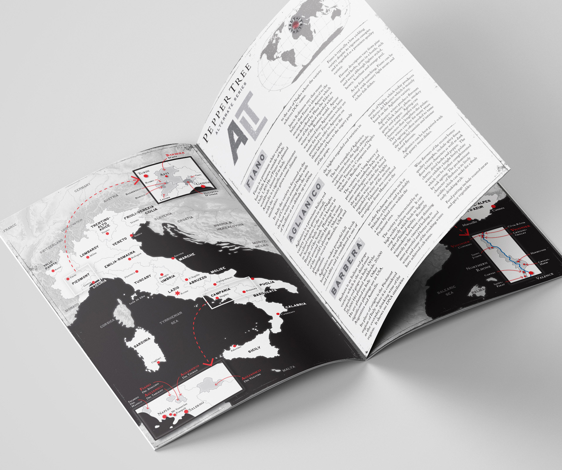 A5 Informational booklet spread