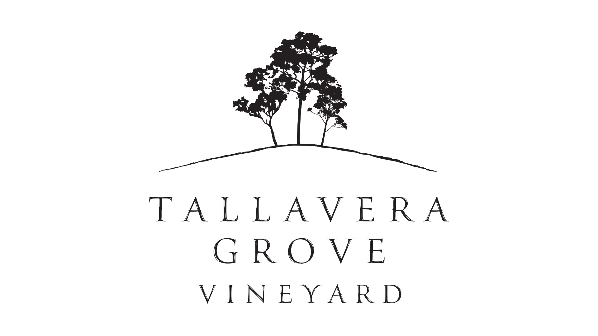 Logo Refresh | Tallavera Grove Vineyard