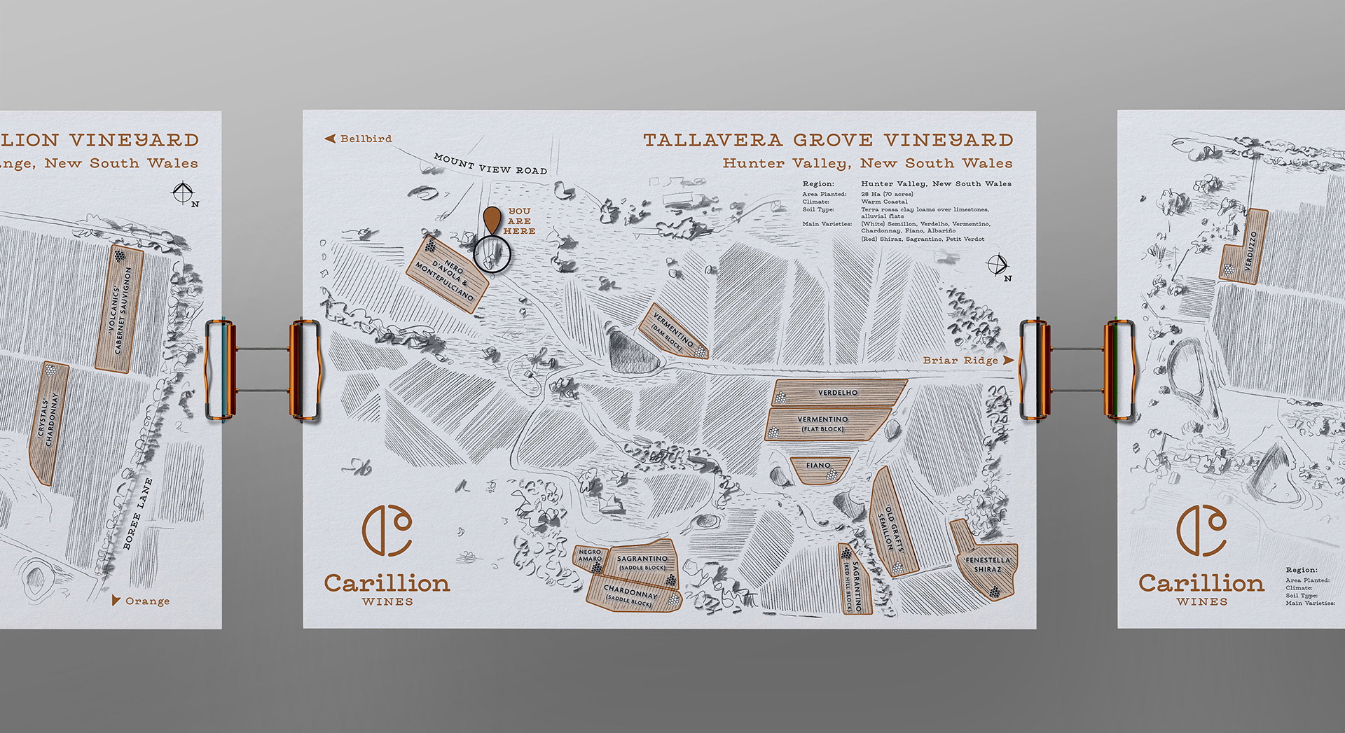 Carillion Vineyards A3 Posters