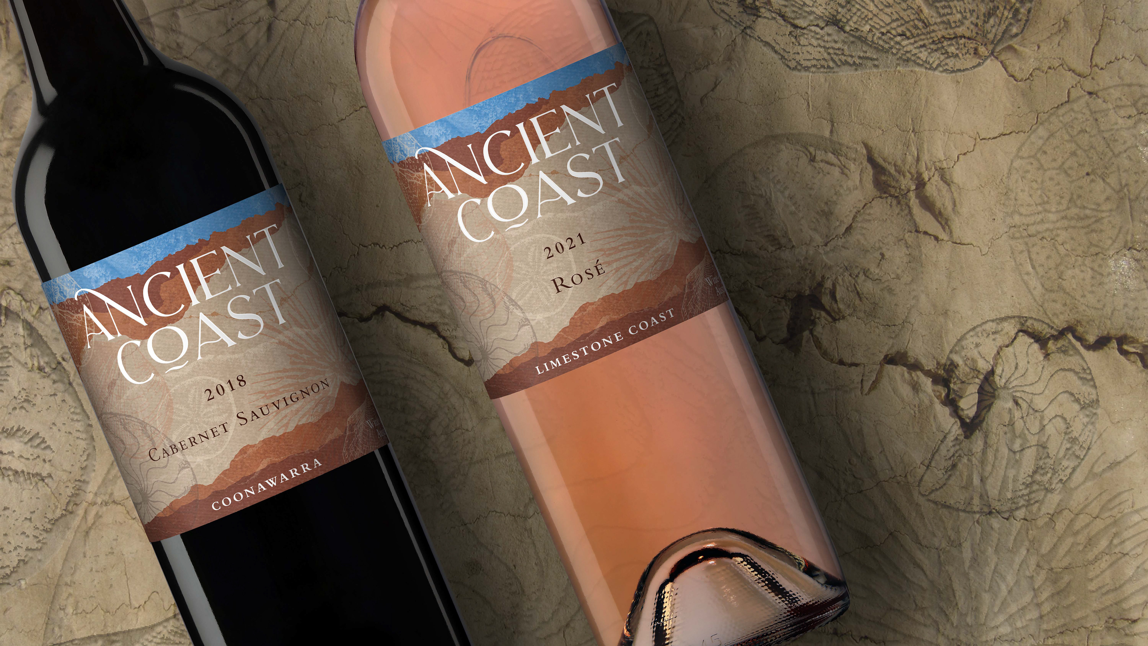 Ancient Coast concept labels close-up on fossil background