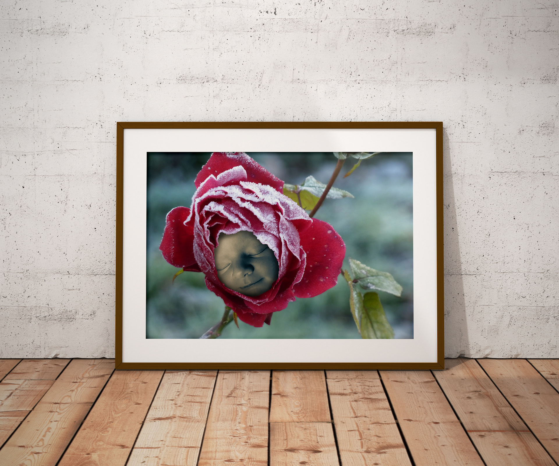 Newborn photo montage Poster