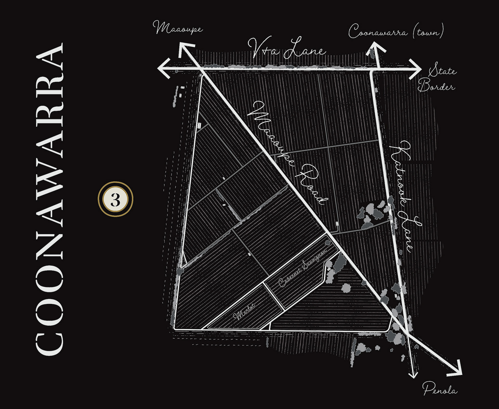 Coonawarra vineyard aerial illustration